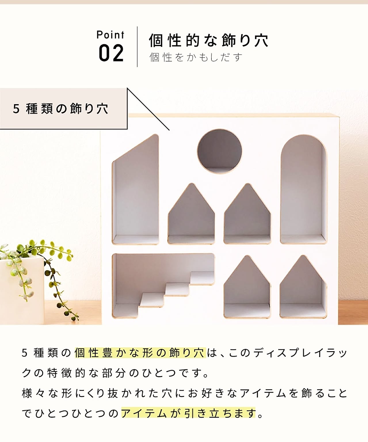 コレクションケース
