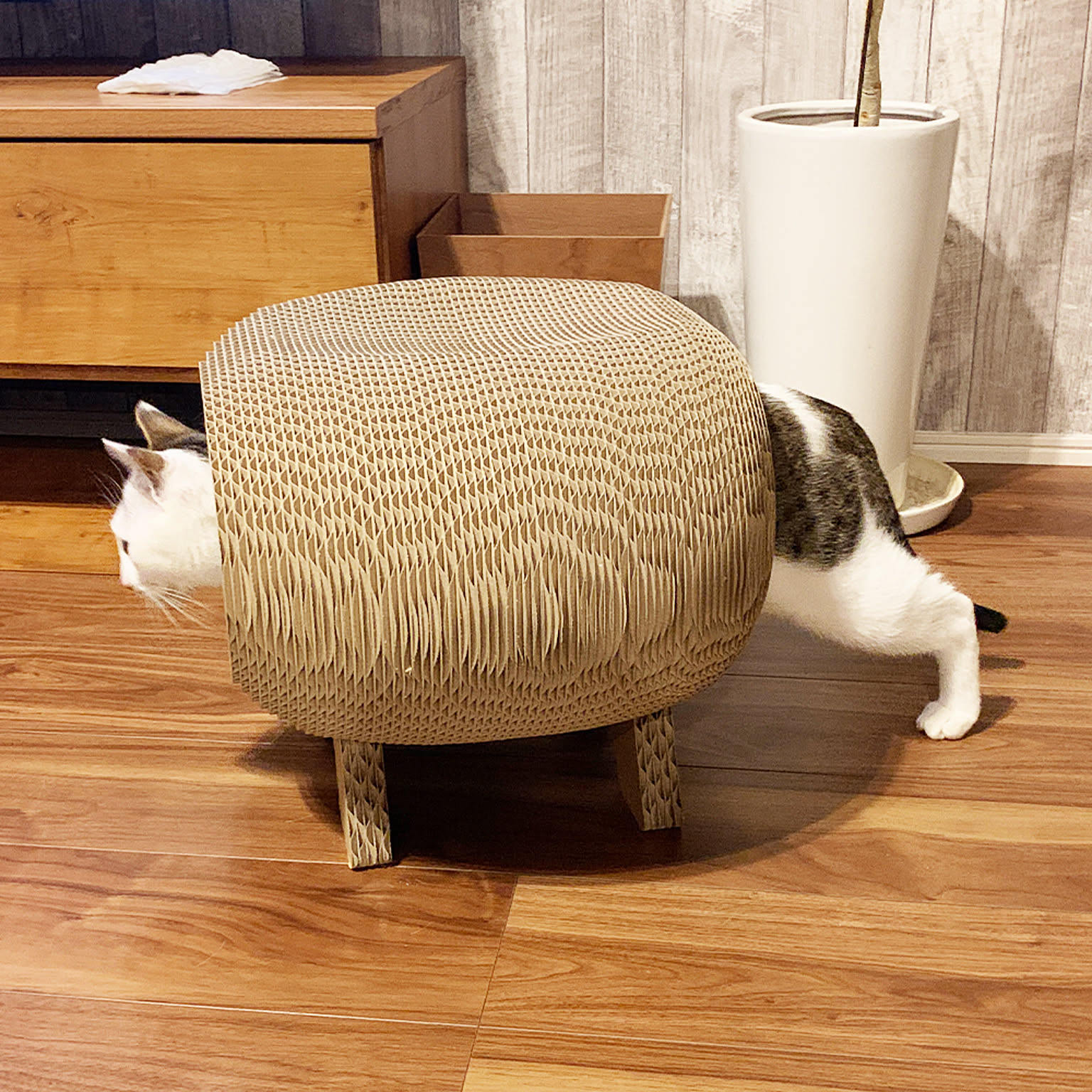 猫用インテリア・猫用家具