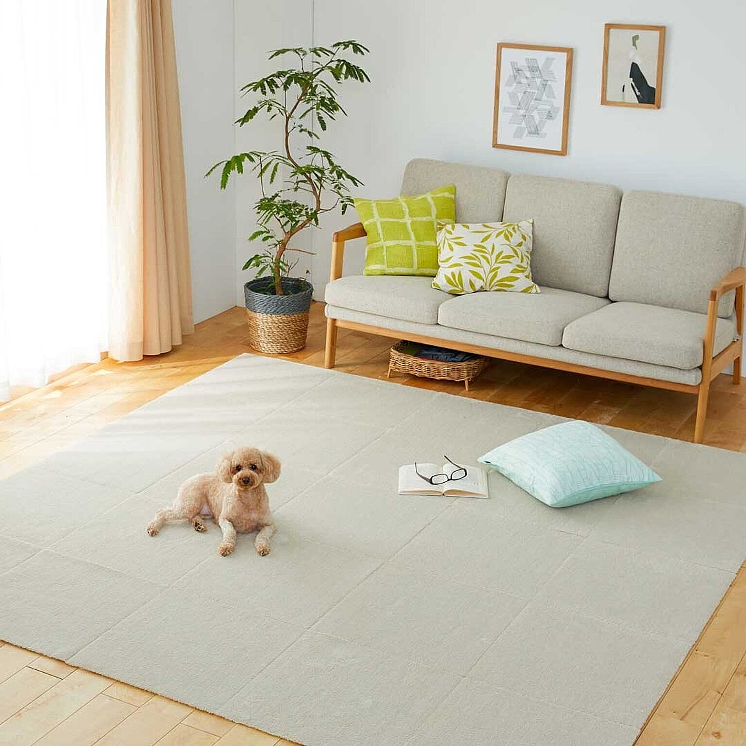 犬用インテリア・犬用家具