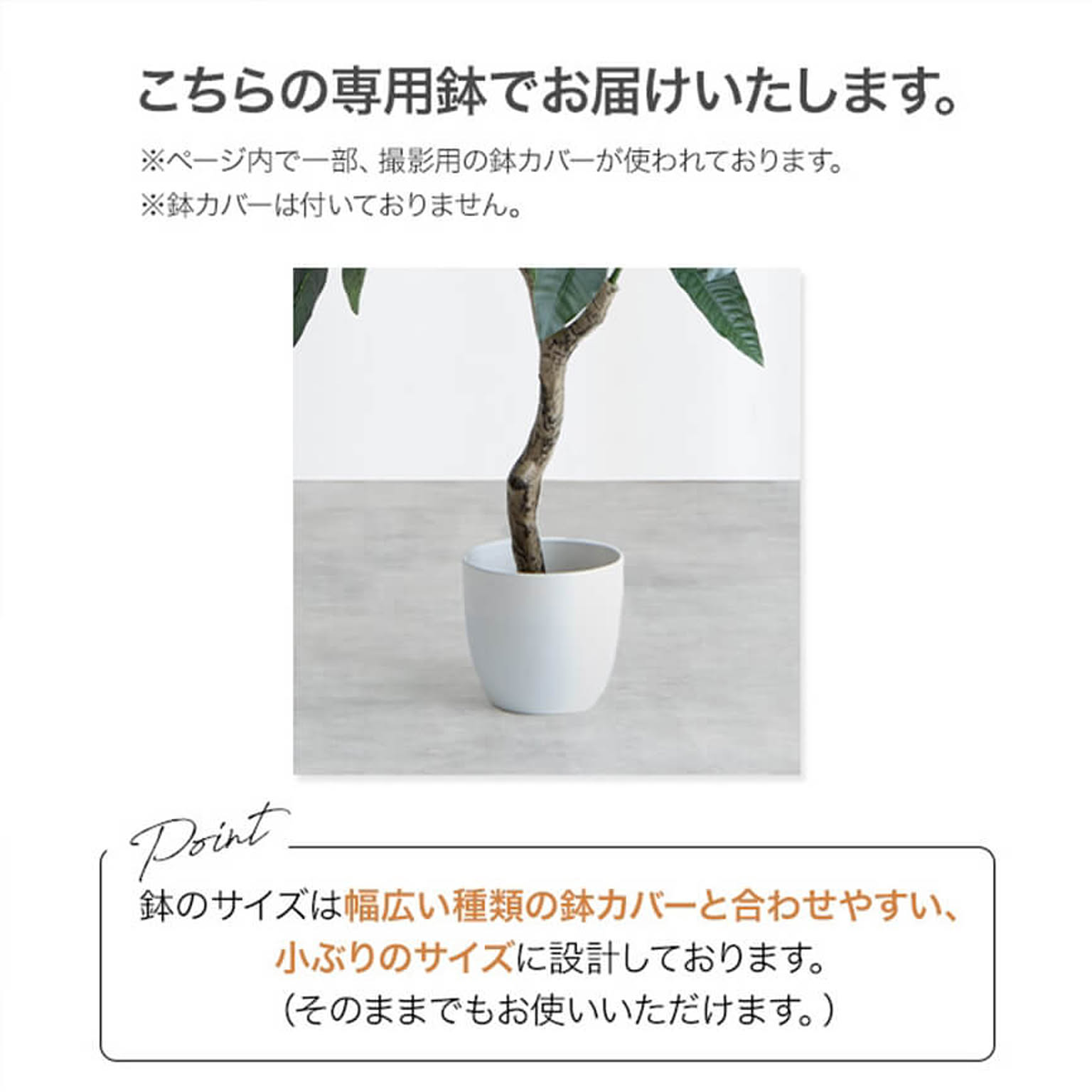 観葉植物