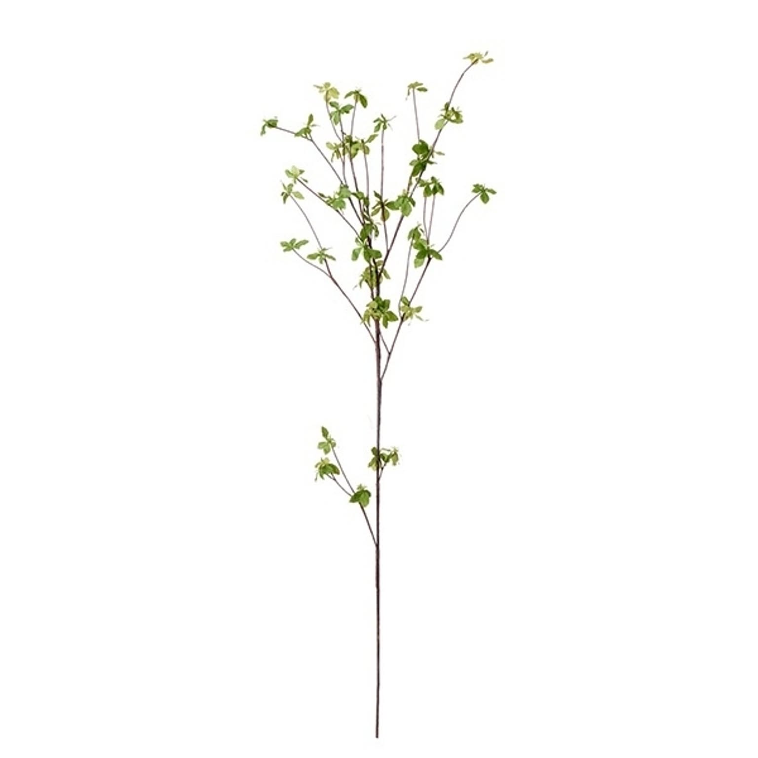 PA-0468 ドウダンツツジ グリーン H115cm 単品花材 / GREENPARK プリマ GREENPARK PA-0468