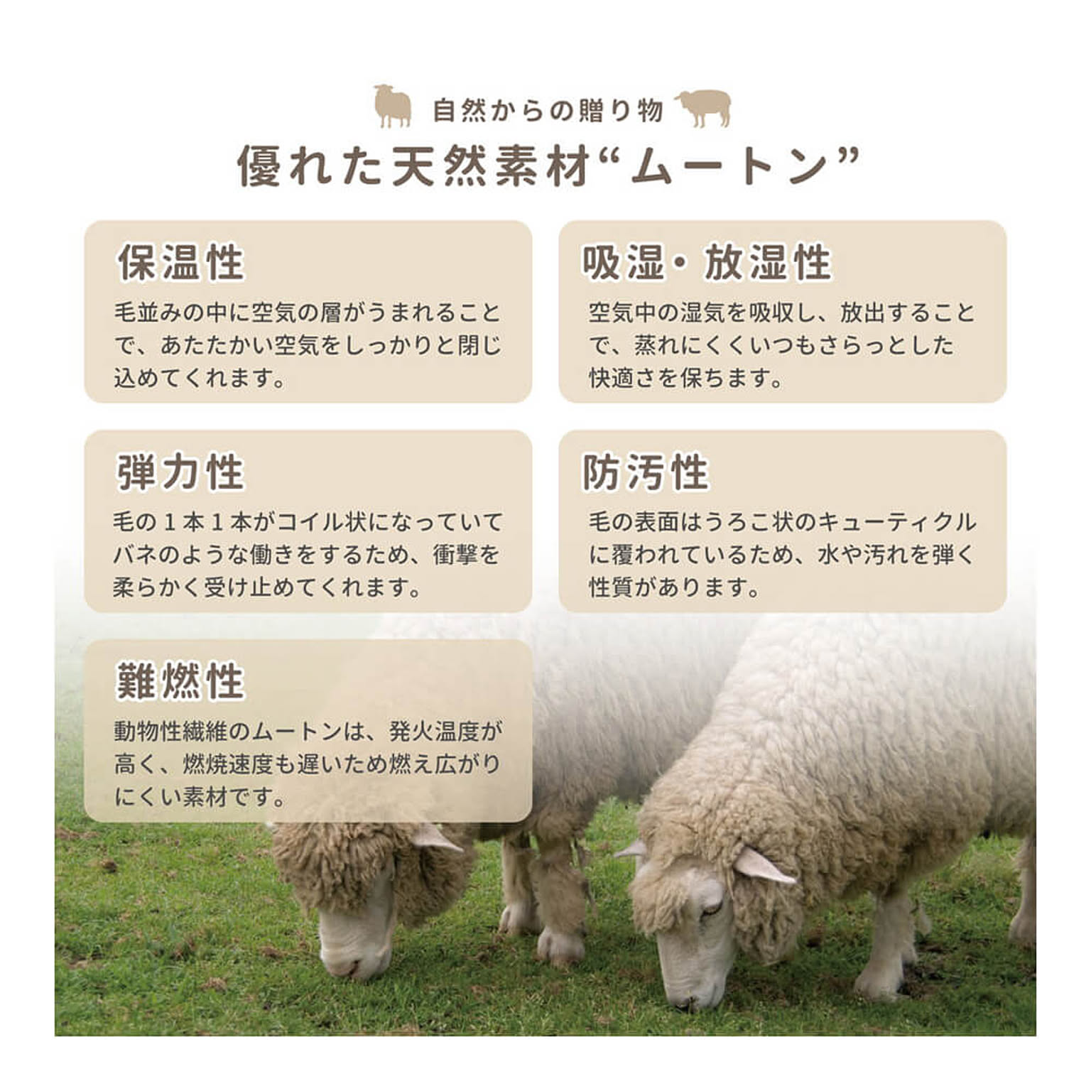 ムートンラグ