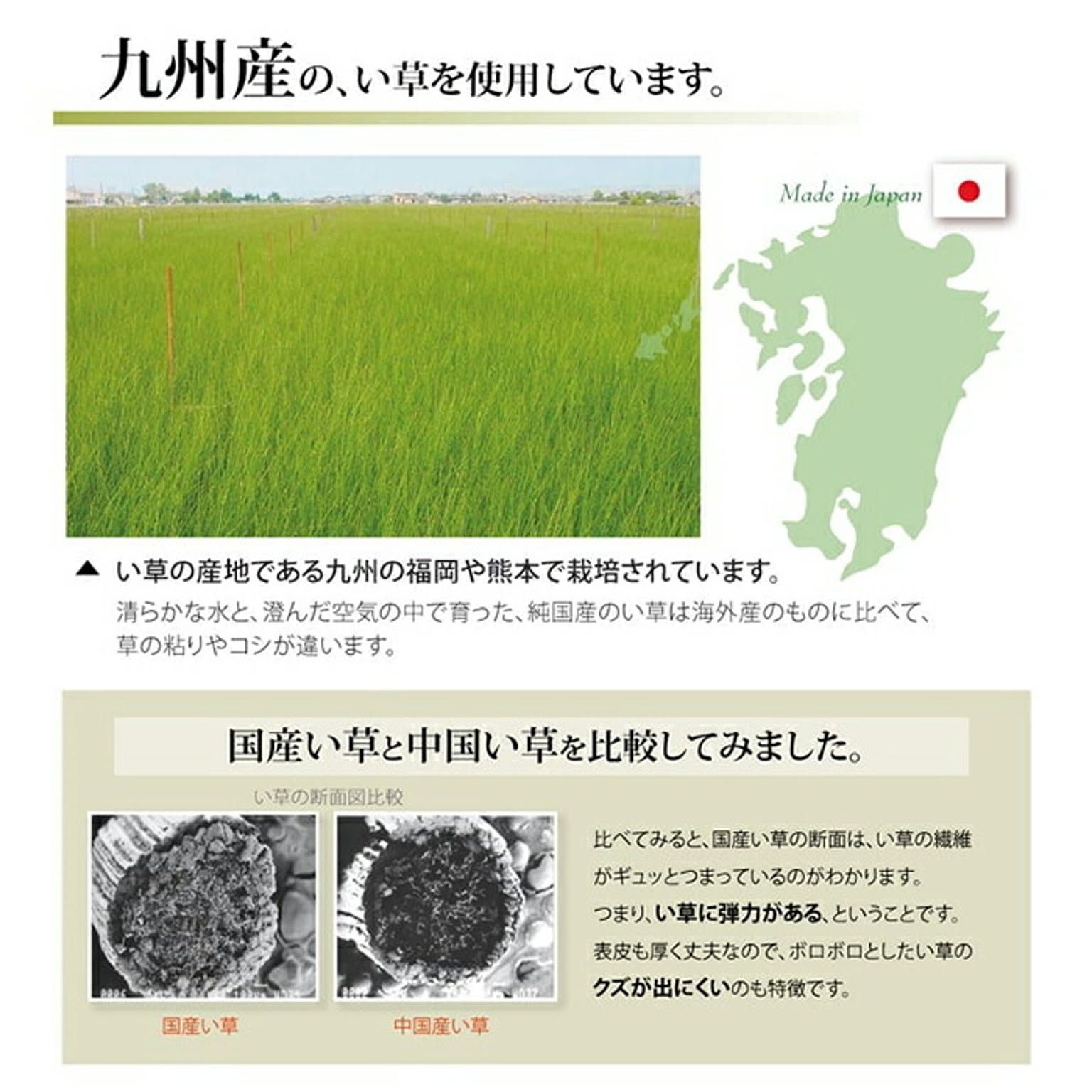 ござ・い草ラグ