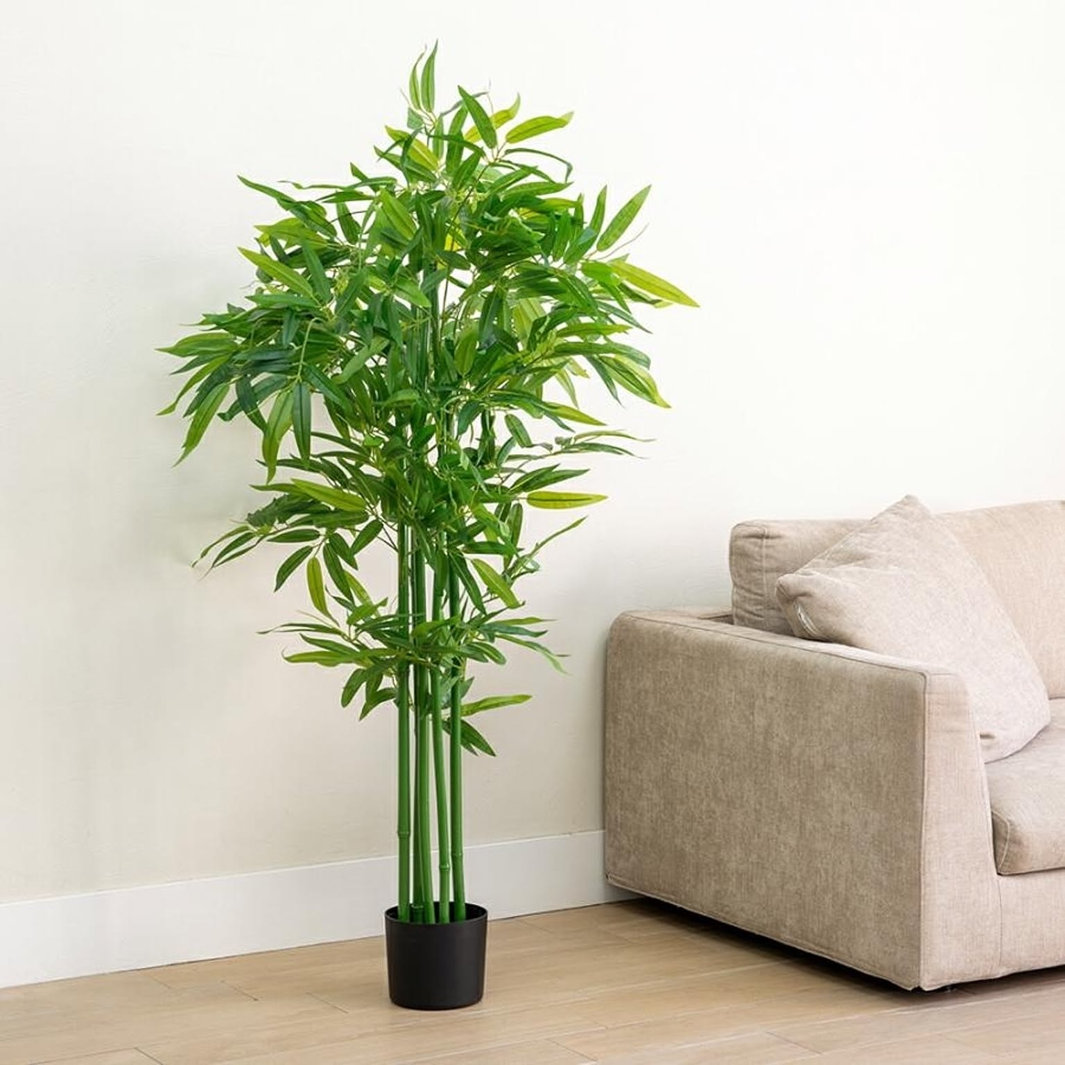 ニトリ 人工観葉植物のおすすめ商品とおしゃれな実例 ｜ RoomClip 