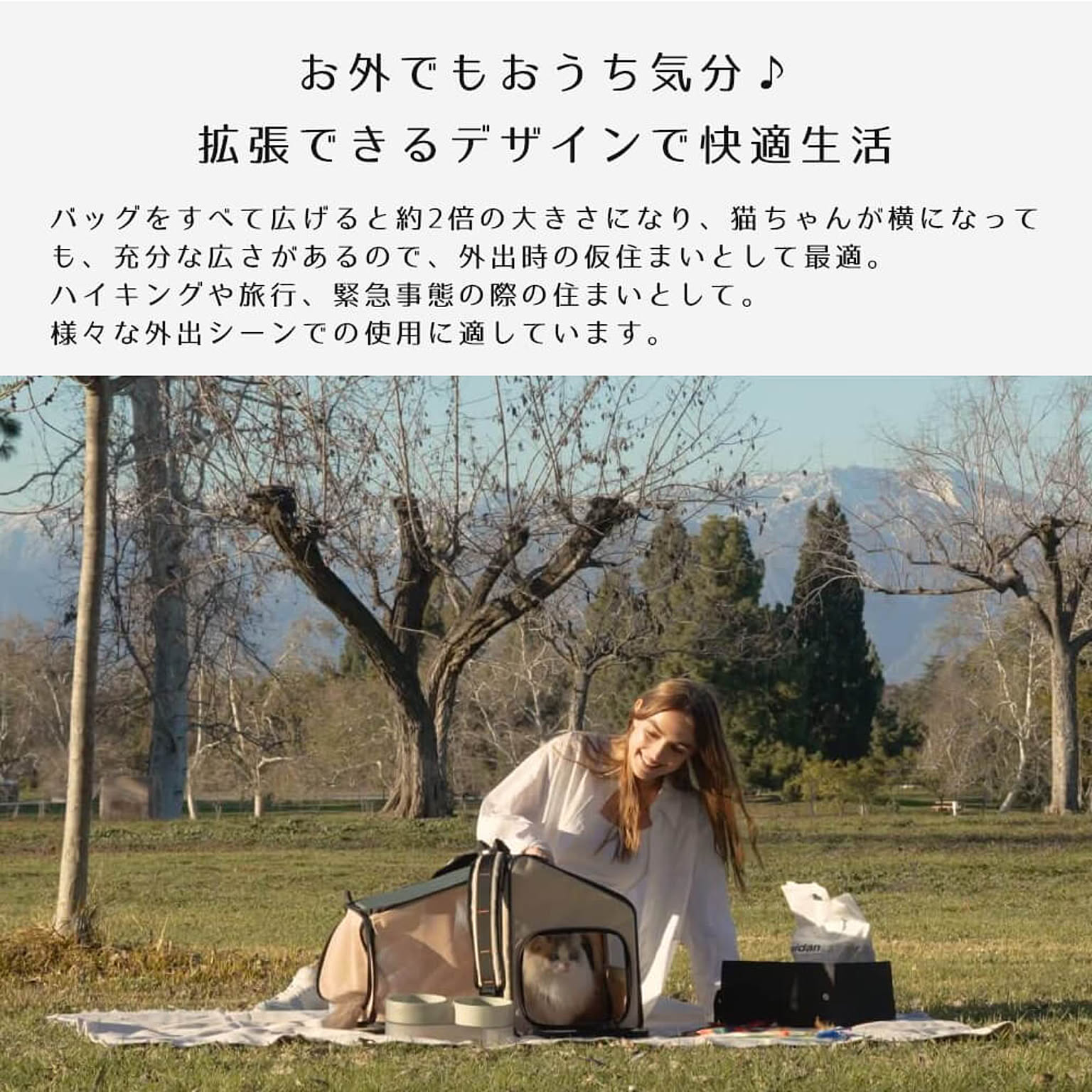 犬用インテリア・犬用家具