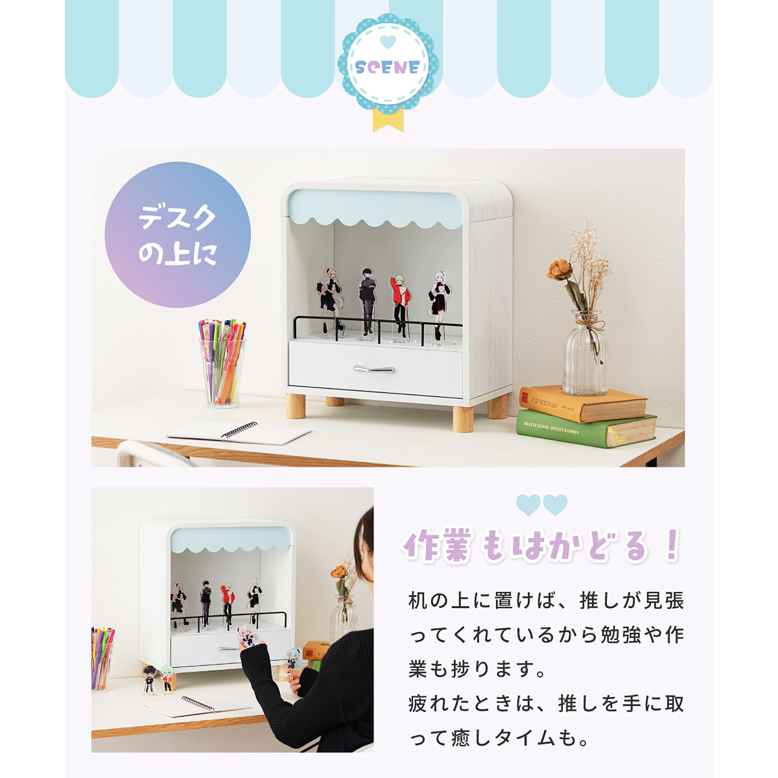 コレクションケース