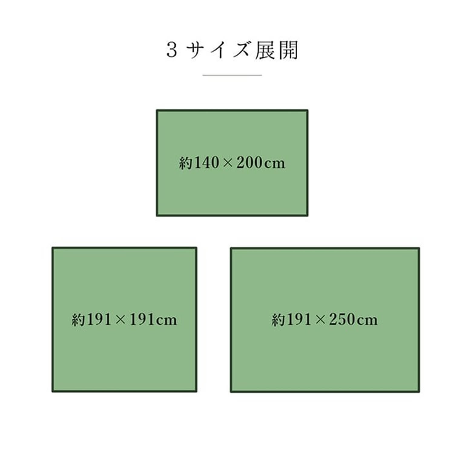 ござ・い草ラグ