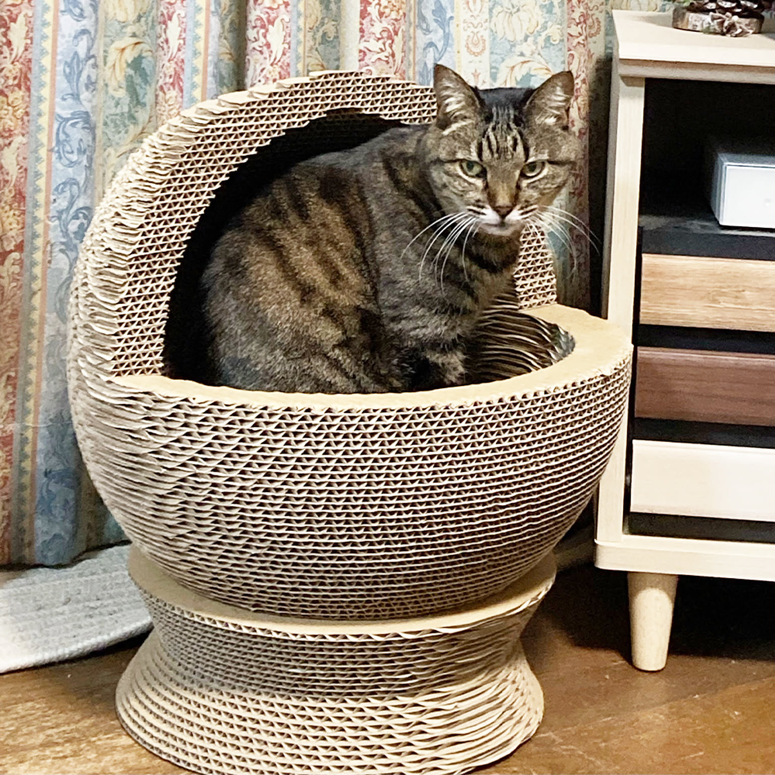 猫用インテリア・猫用家具