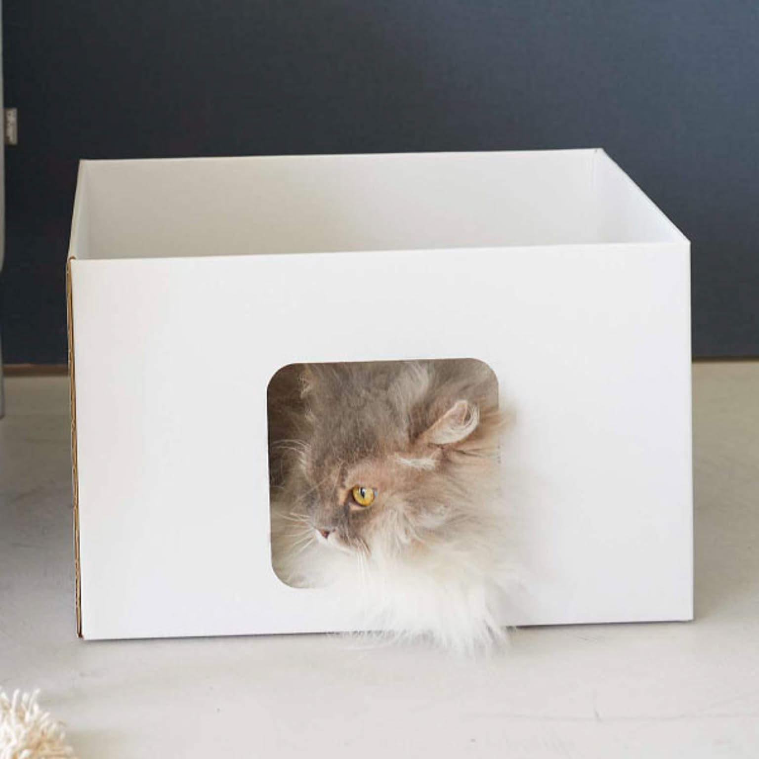 猫用インテリア・猫用家具