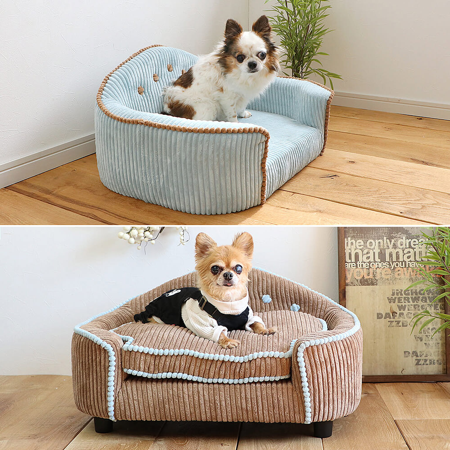 犬用インテリア・犬用家具