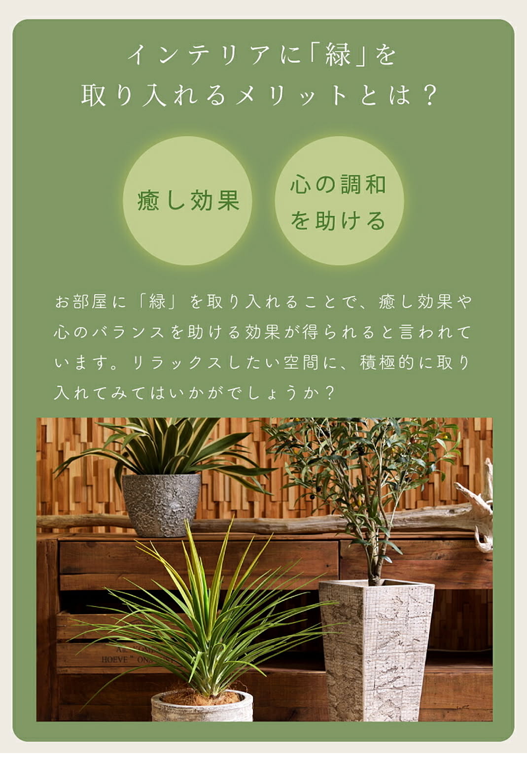 フェイクグリーン