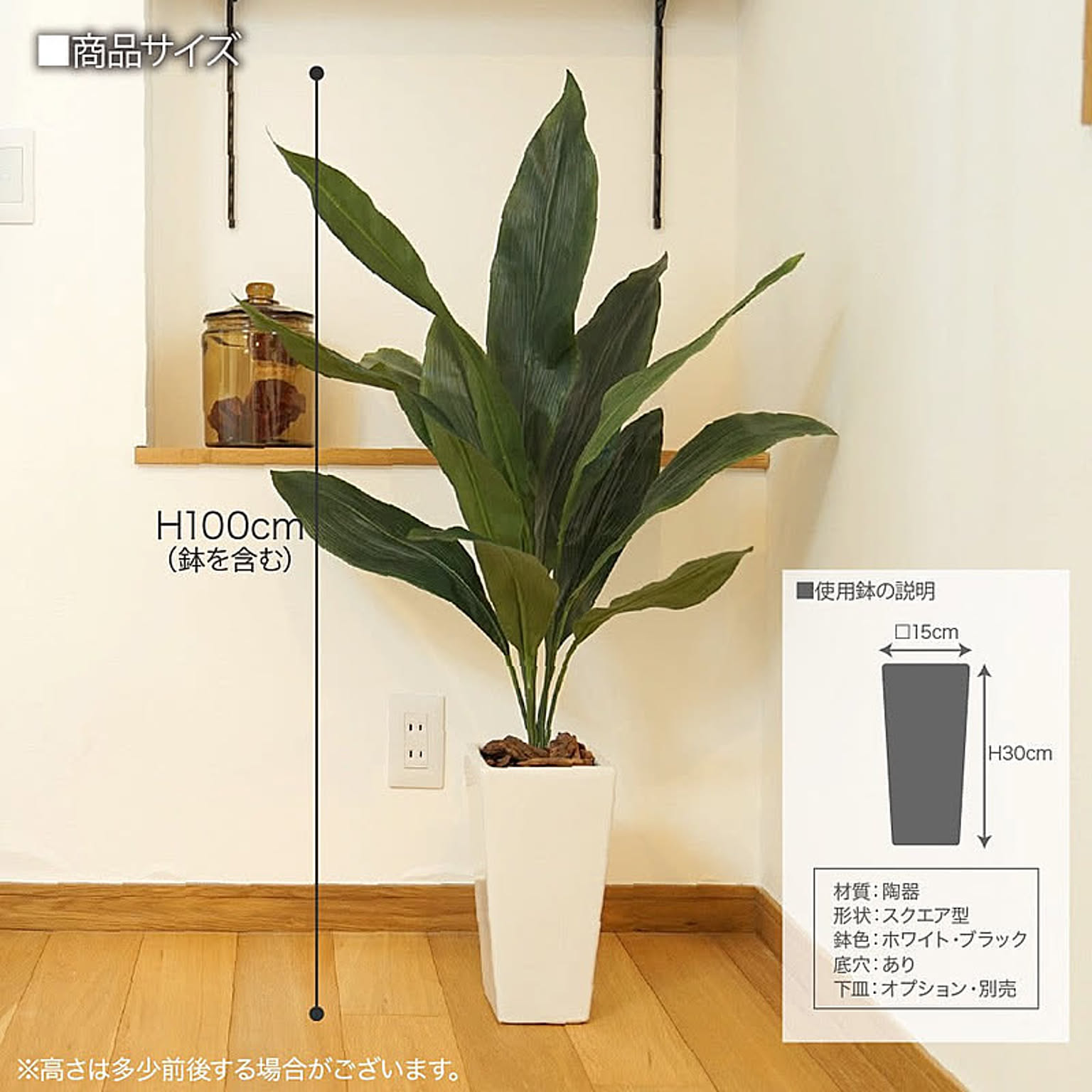 観葉植物
