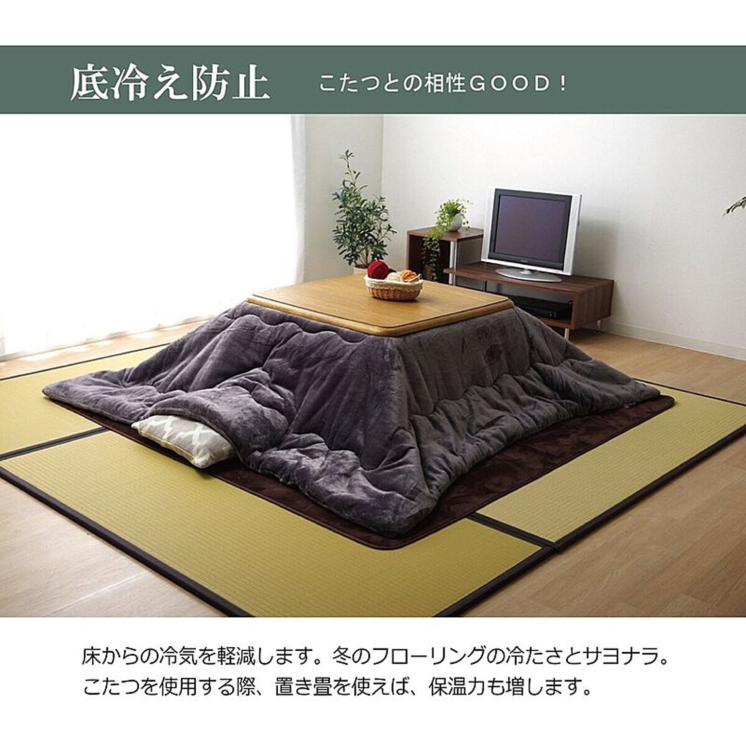 ござ・い草ラグ