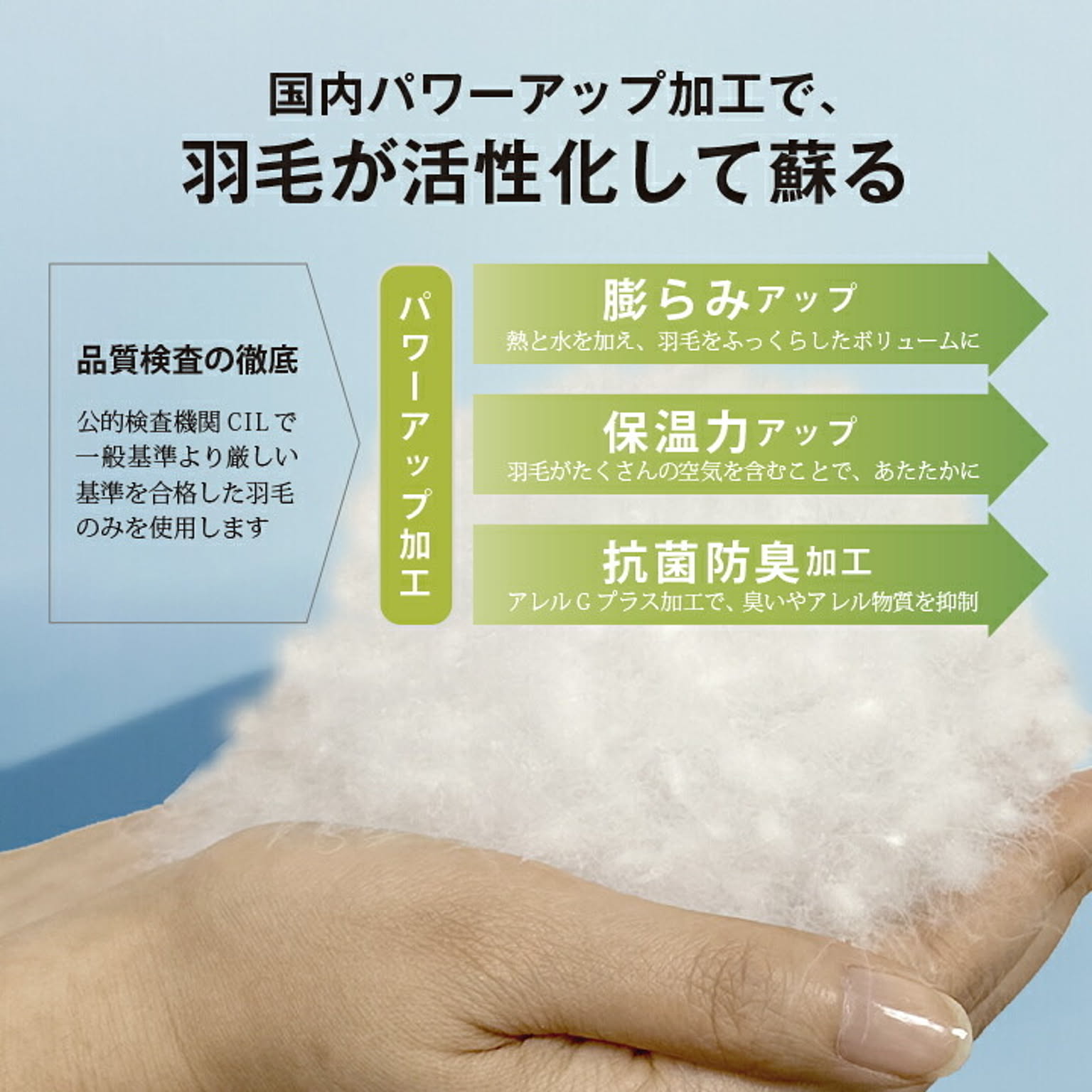 掛け布団
