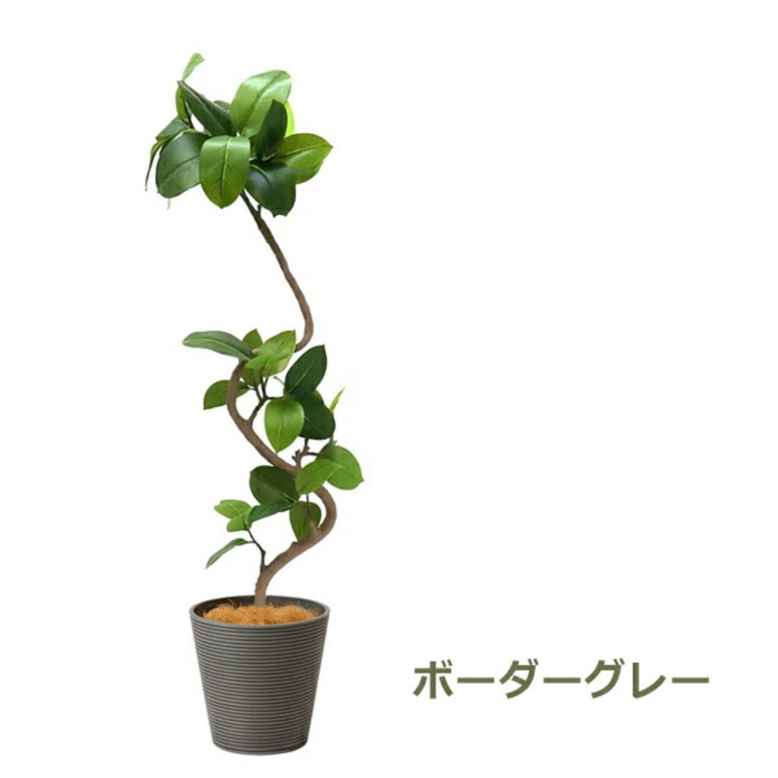 フェイクグリーン