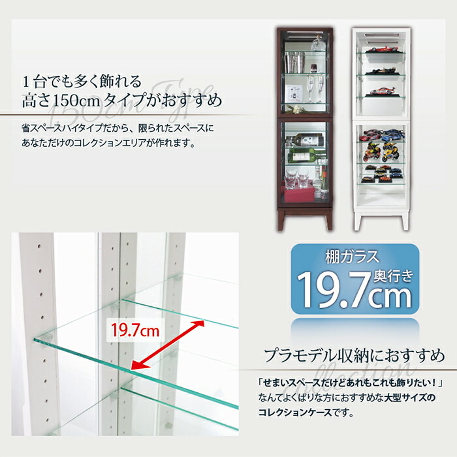 コレクションケース