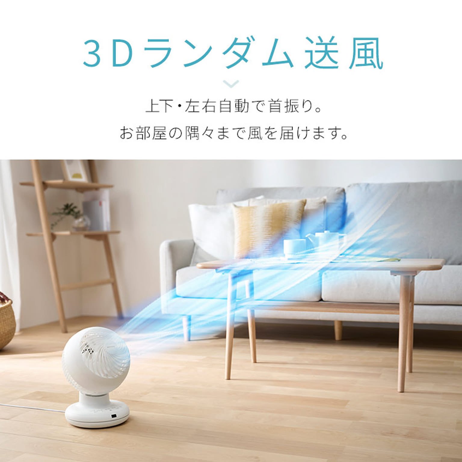 サーキュレーター