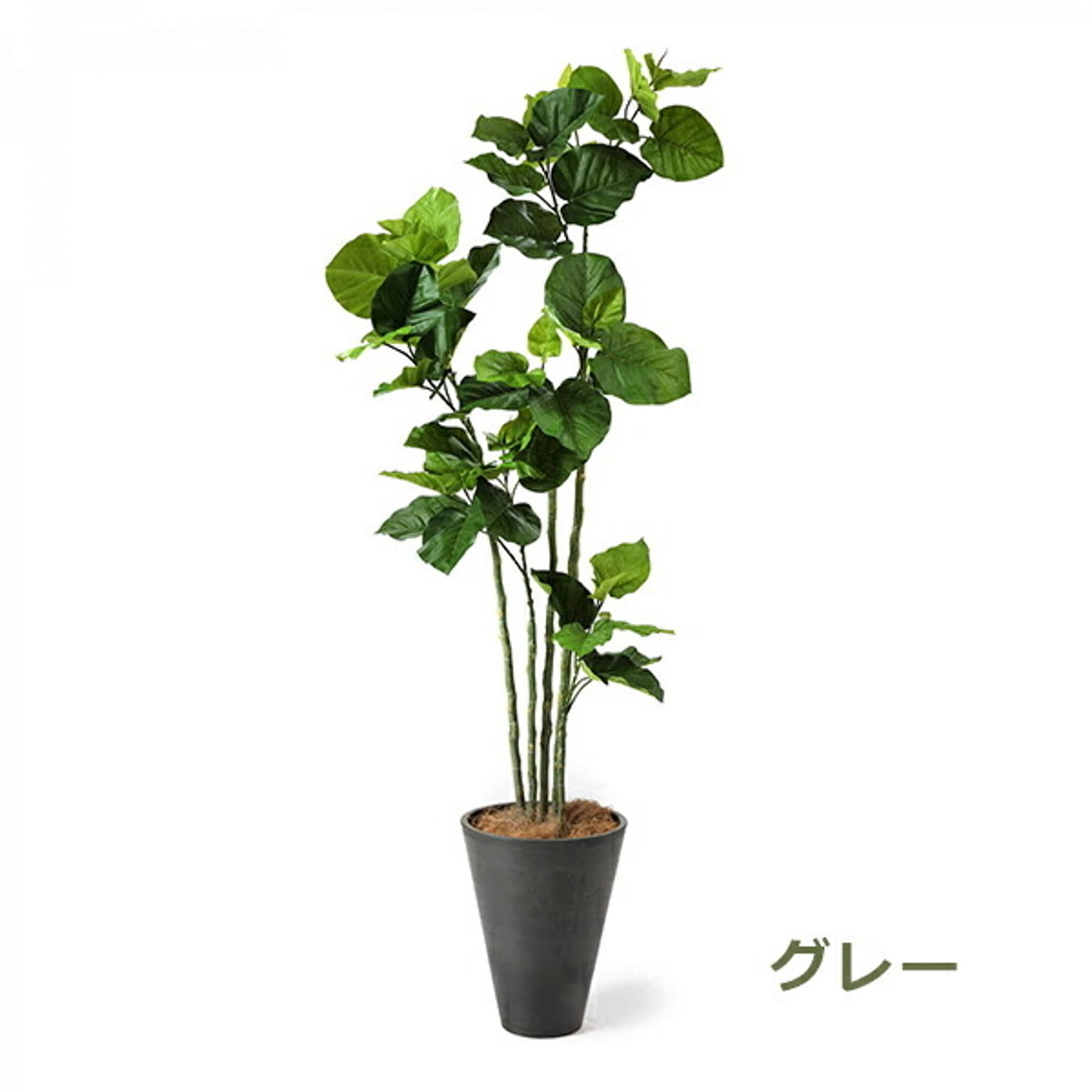 フェイクグリーン