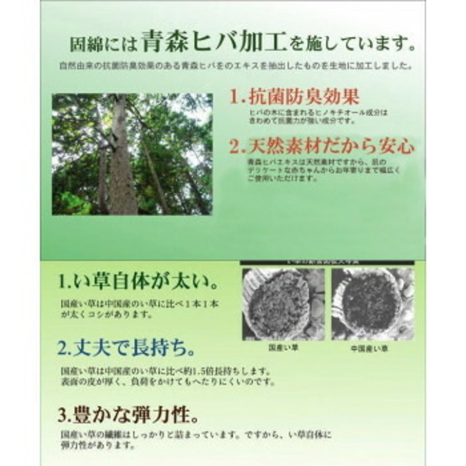 ござ・い草ラグ