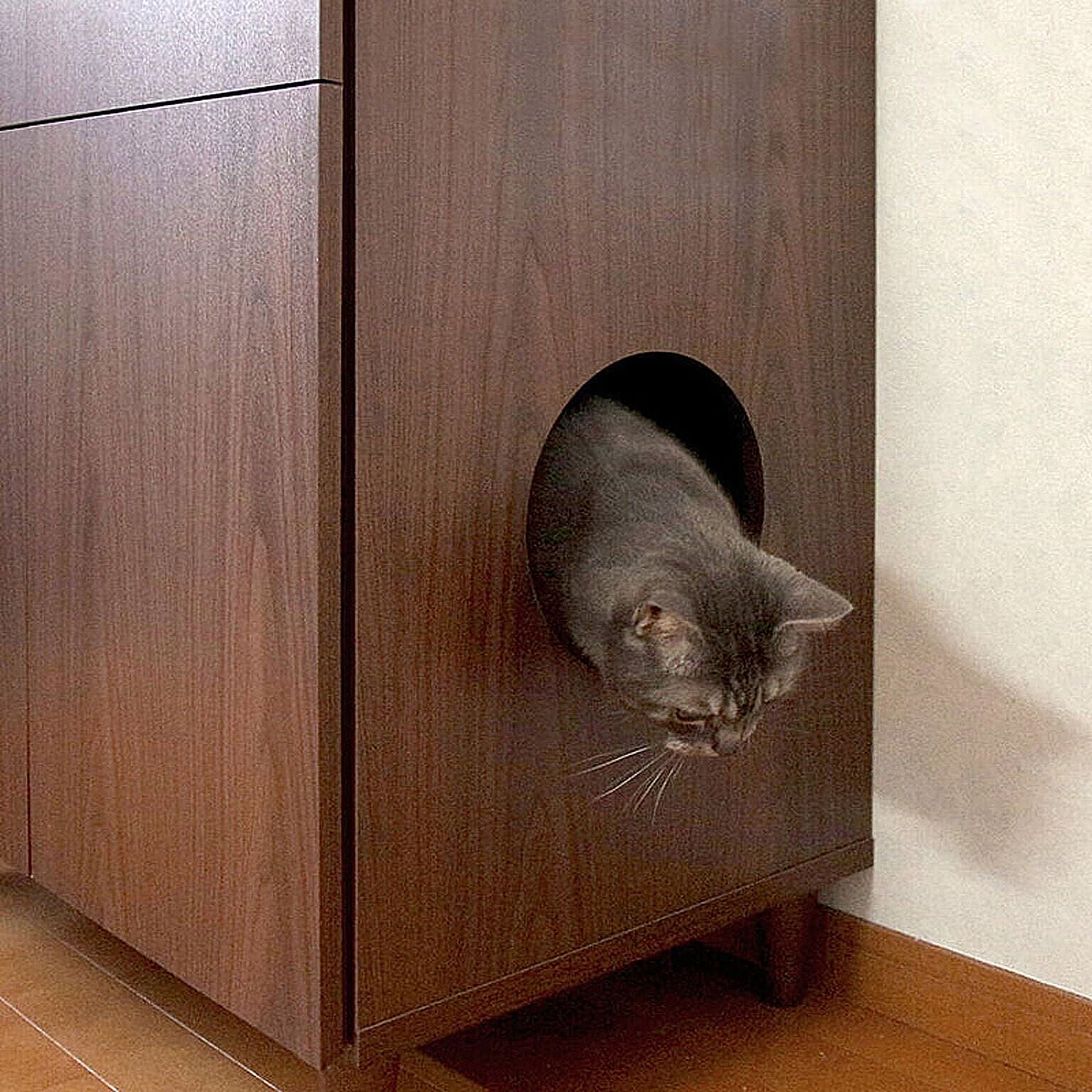 猫用インテリア・猫用家具