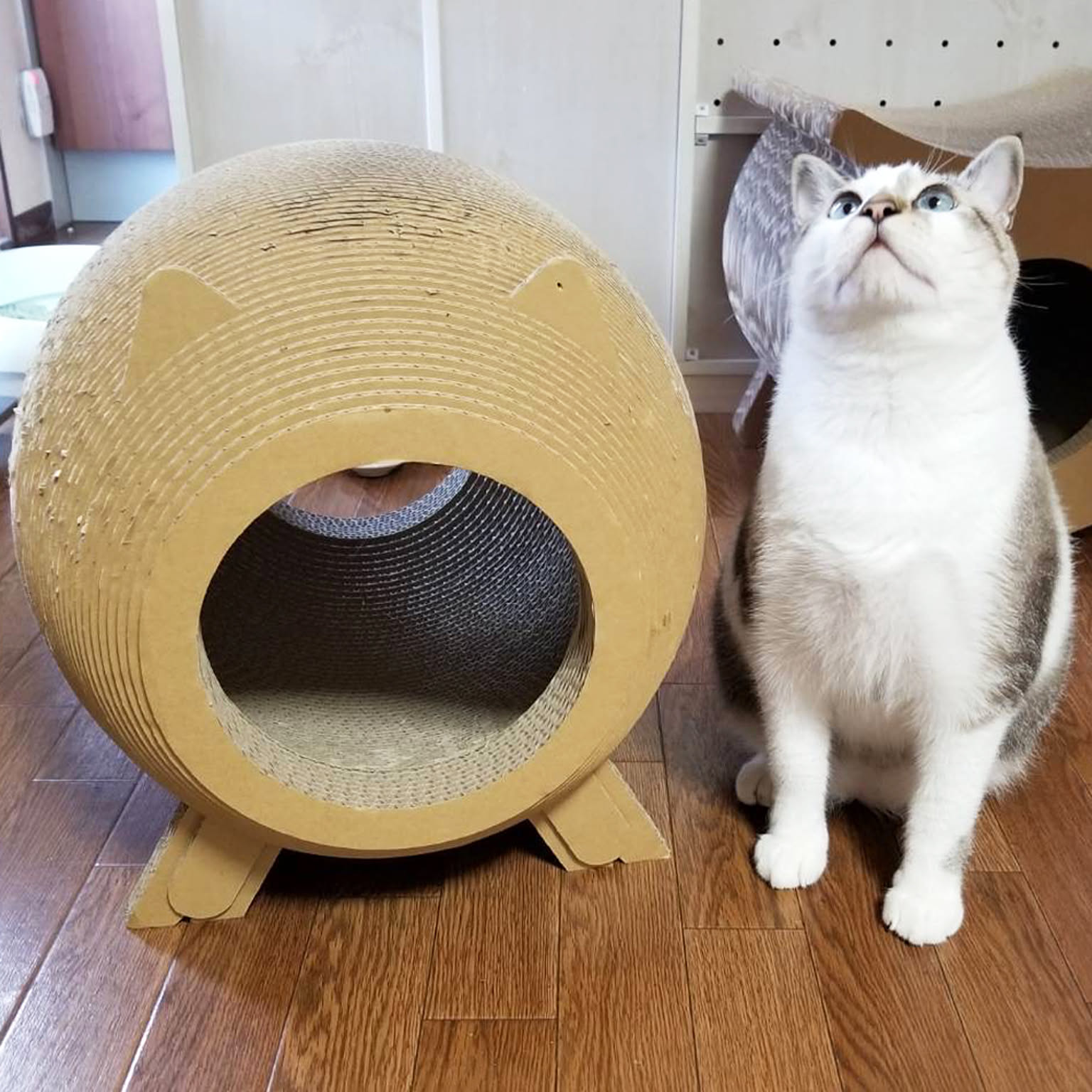 猫用インテリア・猫用家具