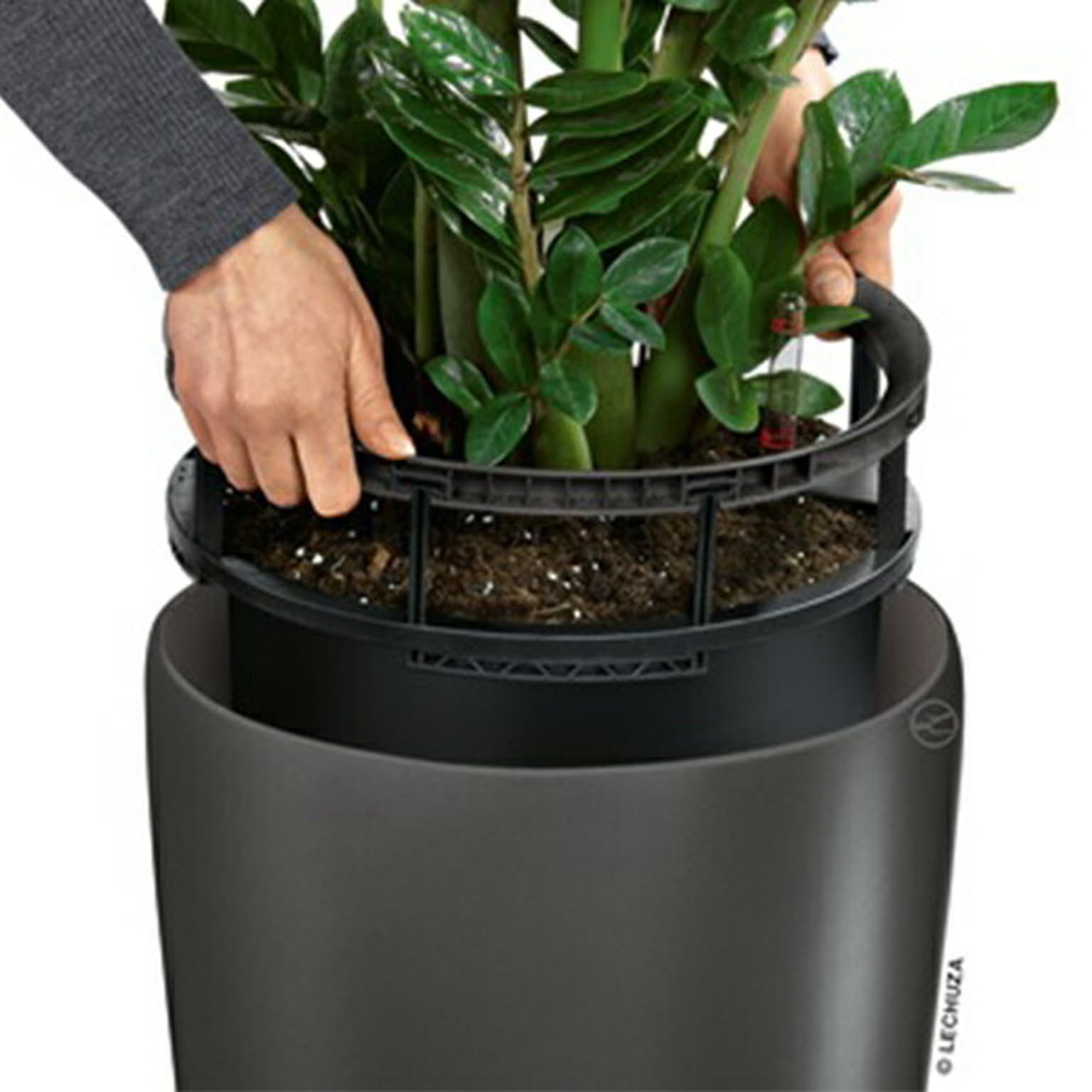 プランター・植木鉢