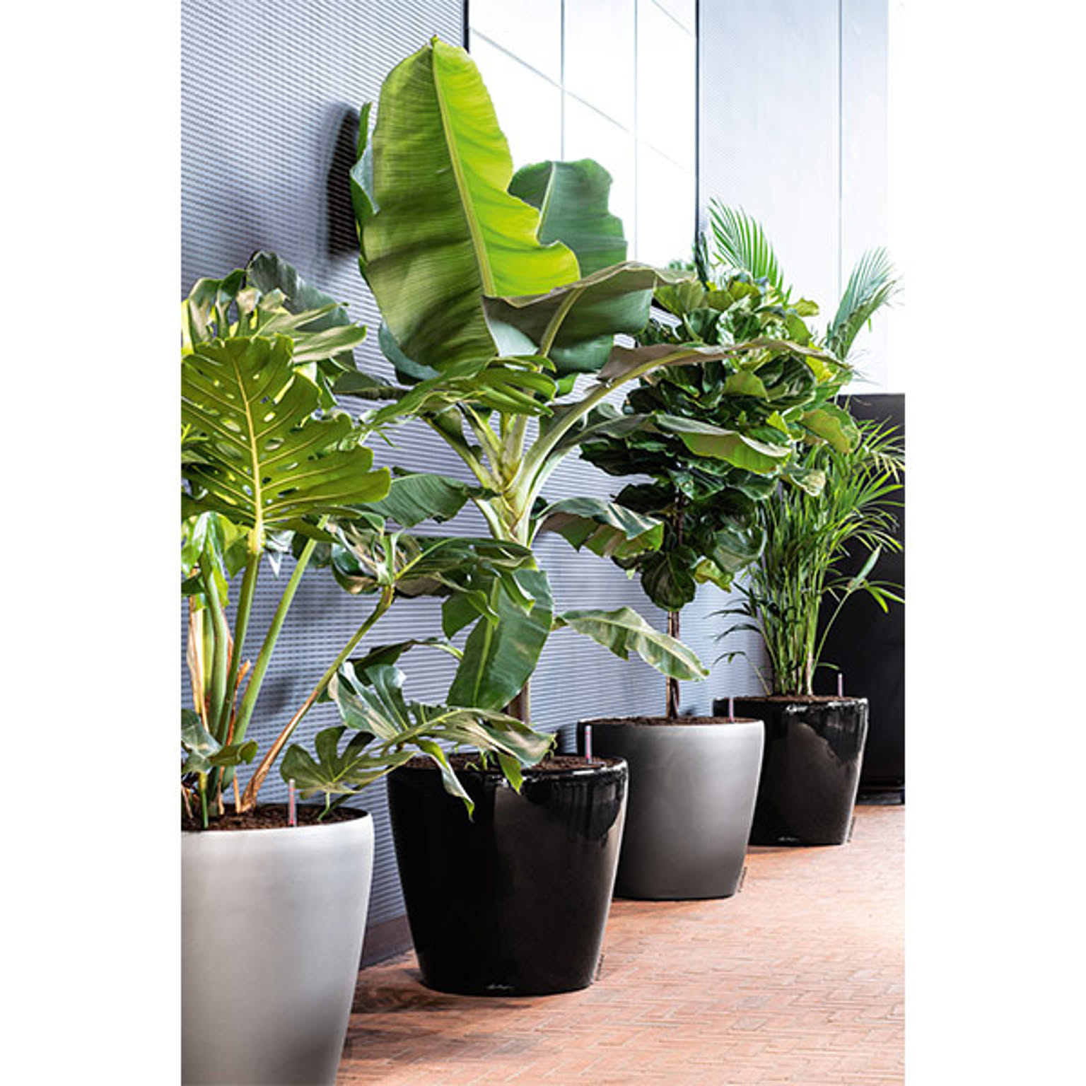 プランター・植木鉢