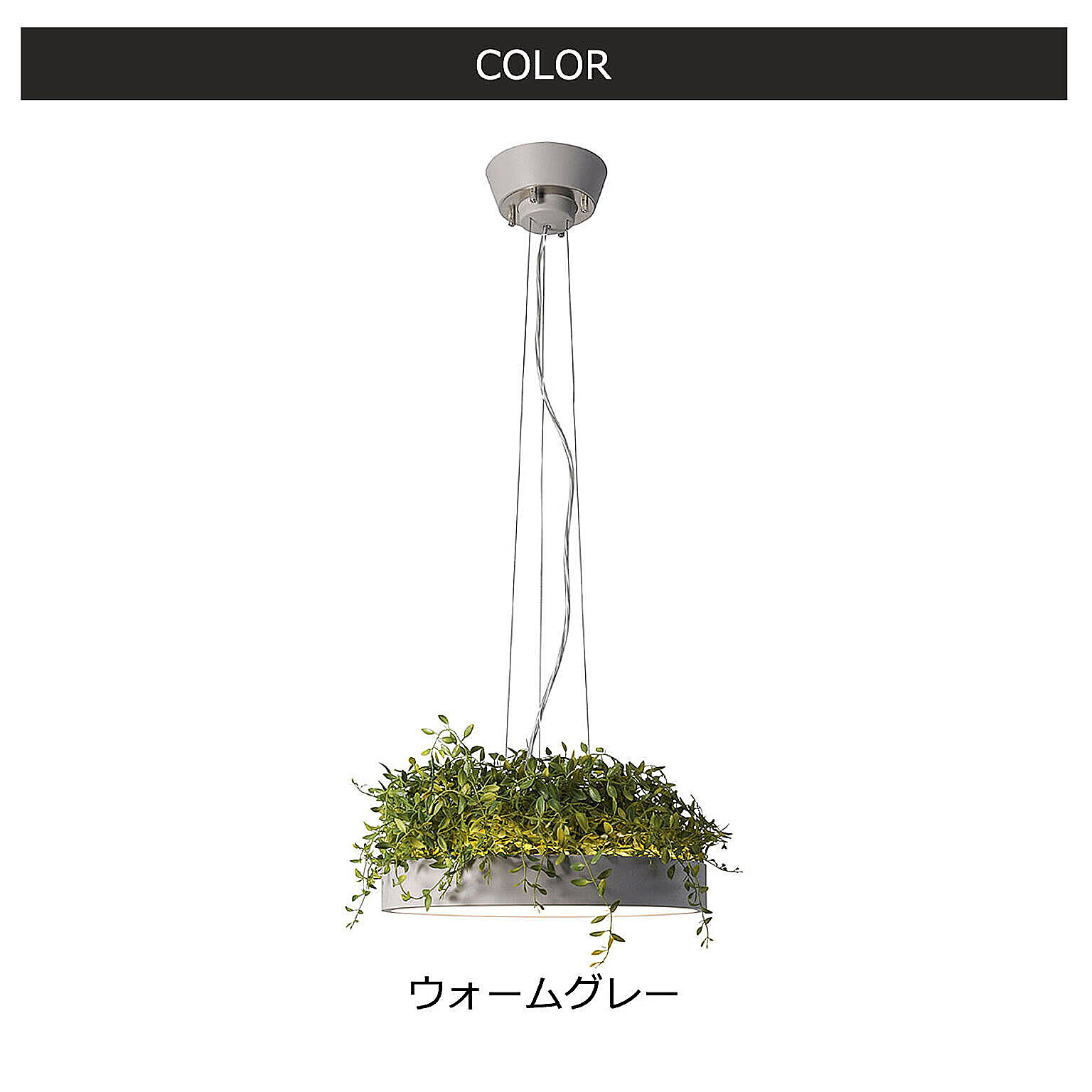 シーリングライト