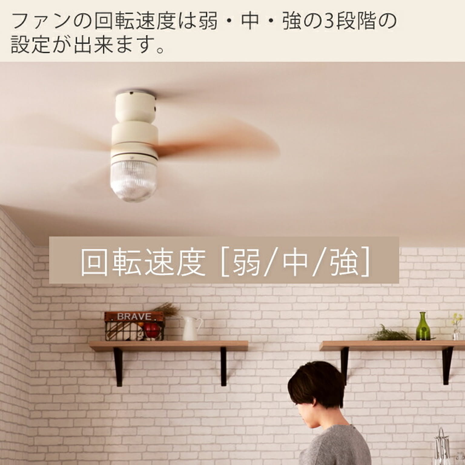 シーリングファンライト