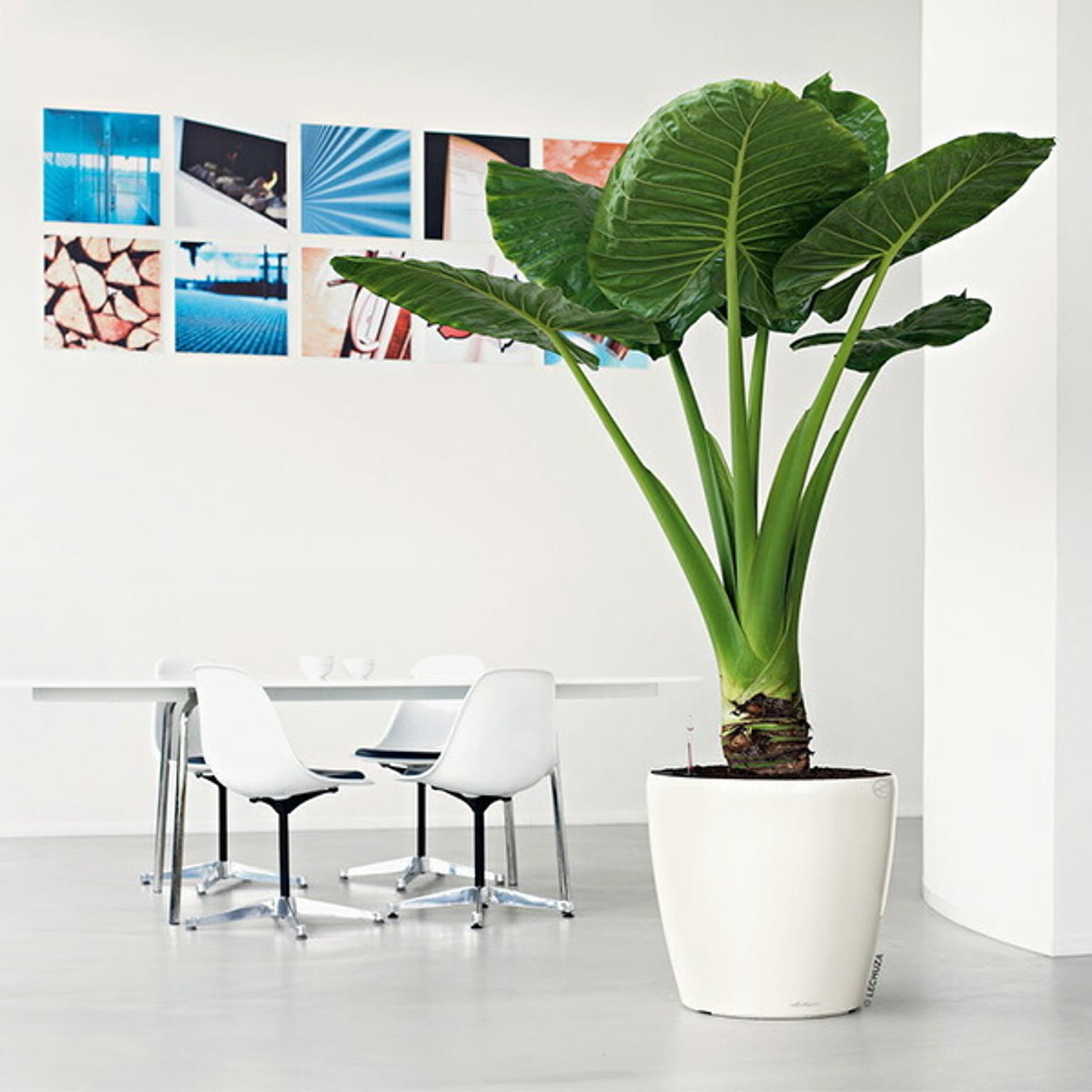 プランター・植木鉢