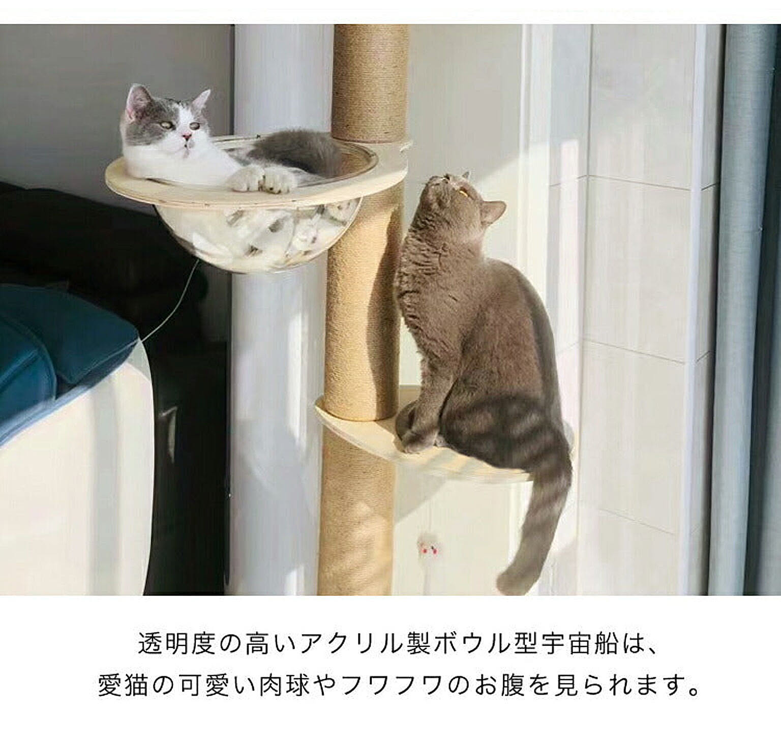 猫用インテリア・猫用家具