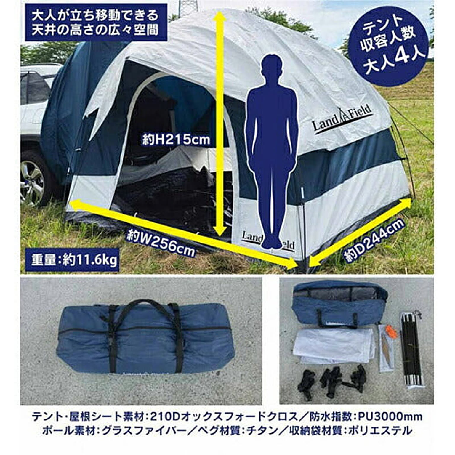 テント