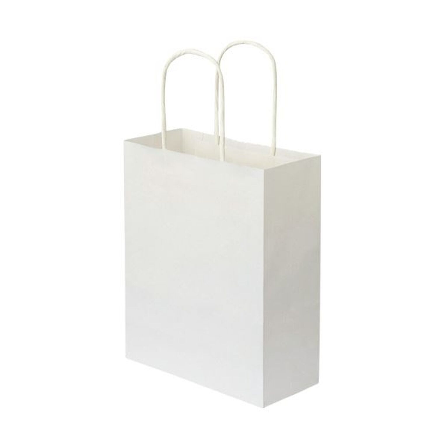 Rakuten TANOSEE 紙手提袋 平紐 小 ヨコ２６０×タテ３２０×マチ幅１００ｍｍ 白無地 １セット ３００枚：５０枚×６パック 