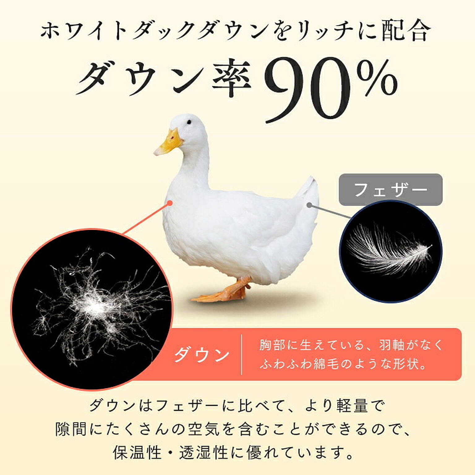 掛け布団