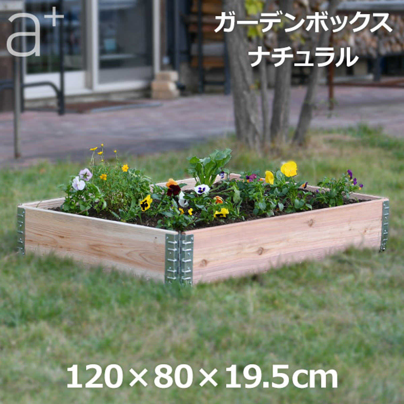 プランター・植木鉢