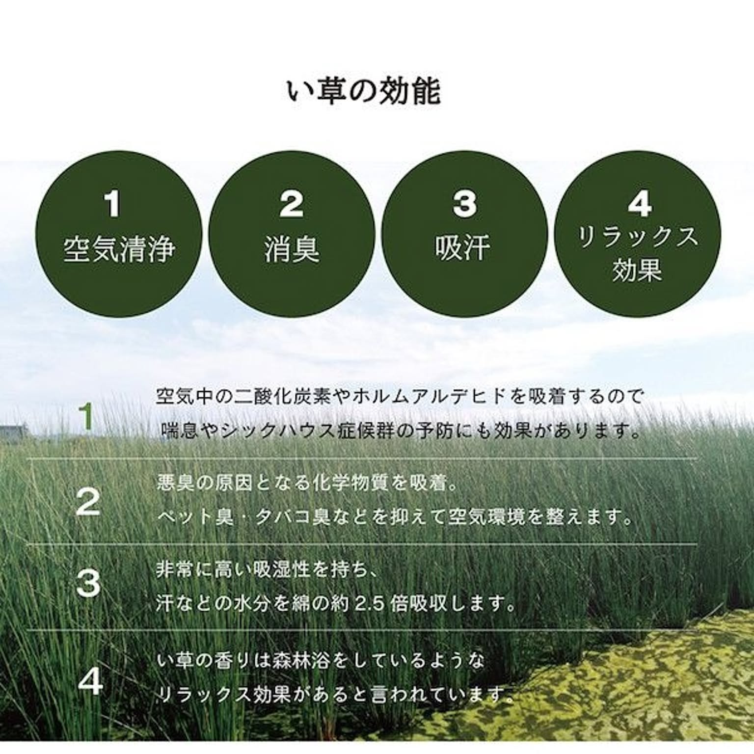 ござ・い草ラグ