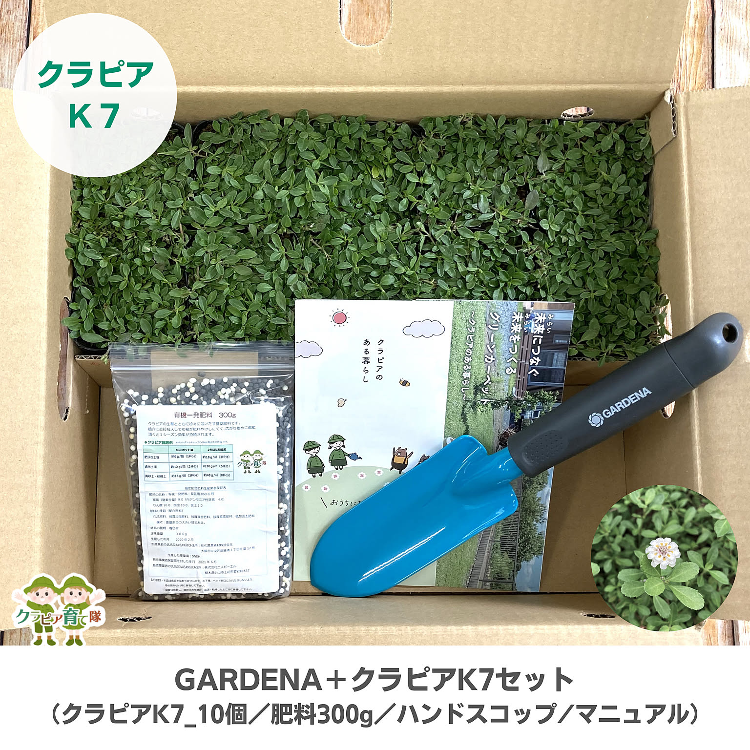 GARDENAハンドスコップ＋クラピアK７_10個セット