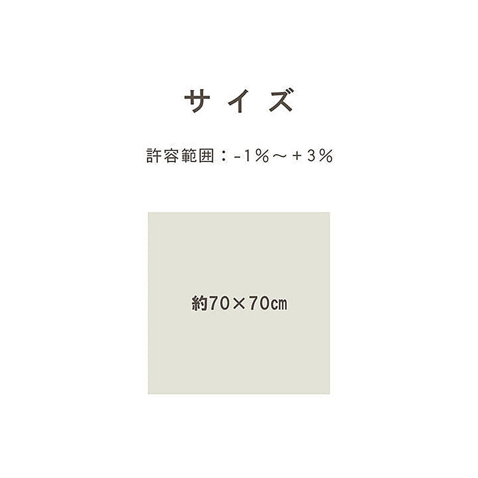 ござ・い草ラグ