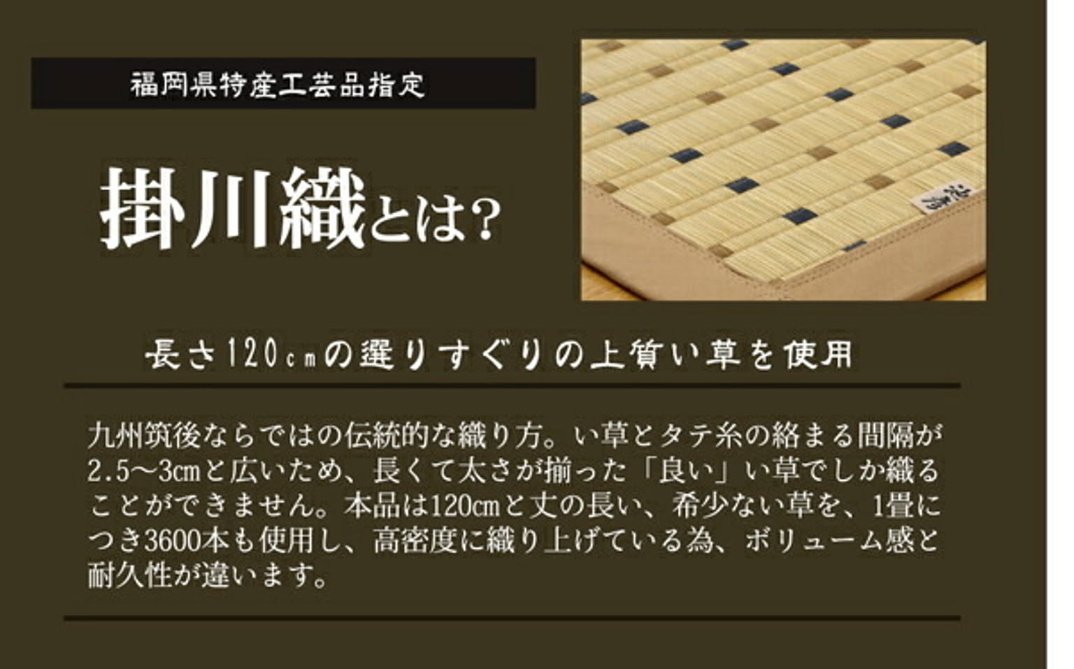 ござ・い草ラグ