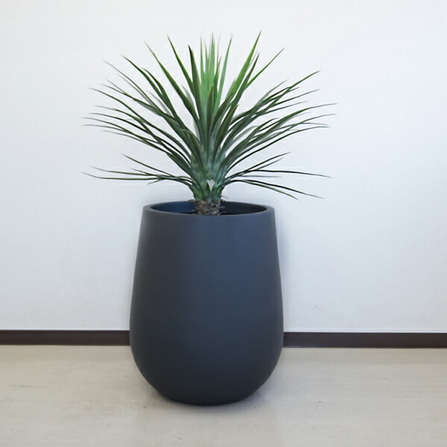プランター・植木鉢