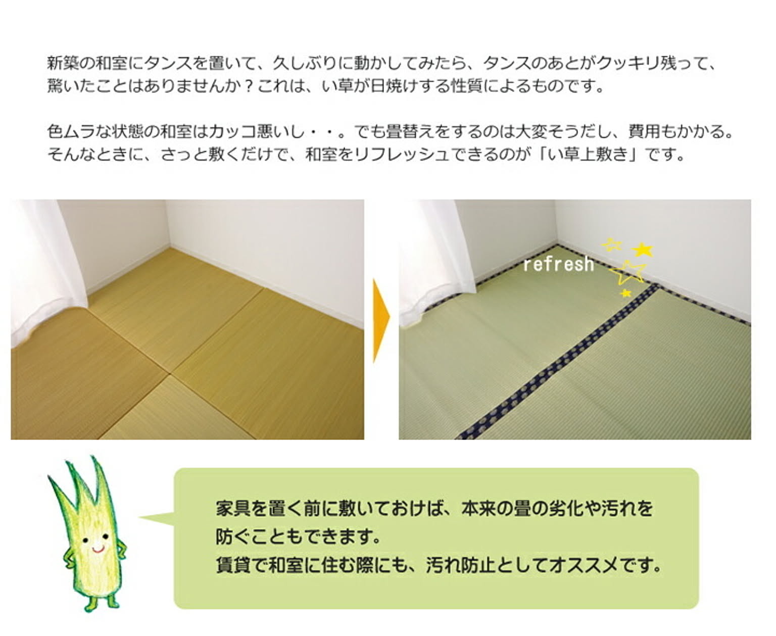 ござ・い草ラグ