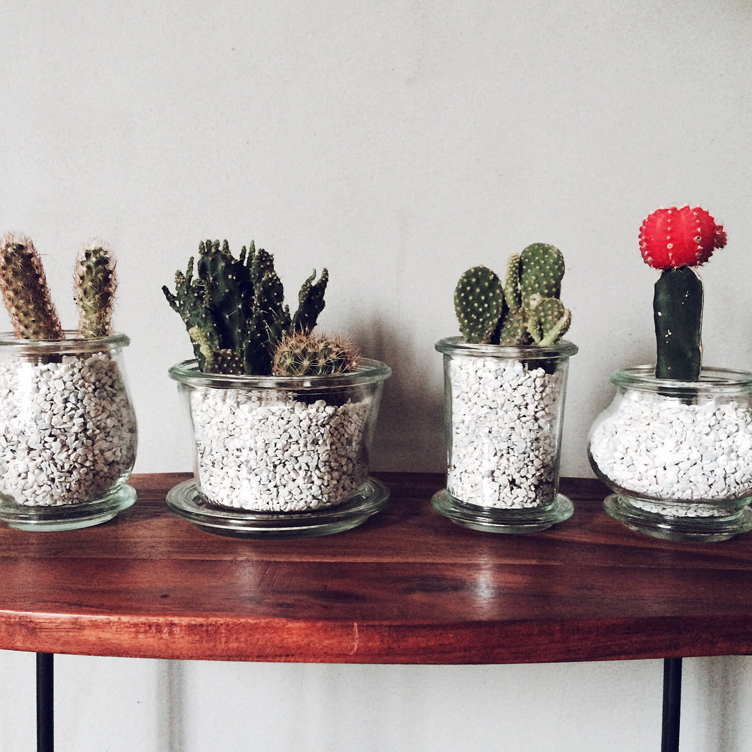 食品の保存だけに使うのはもったいない Weck瓶の活用法 Roomclip Mag 暮らしとインテリアのwebマガジン