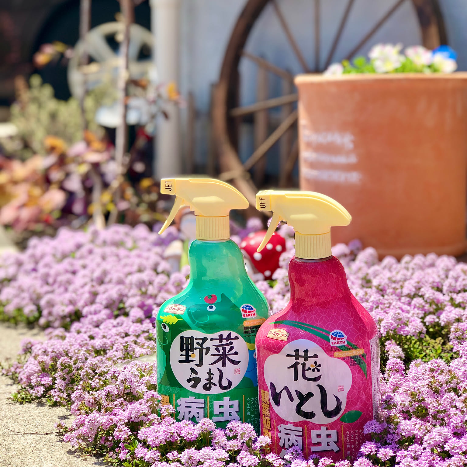 ウエストリンギアスモーキーホワイト,ヒューケラドルチェ,野菜うまし,病害虫対策,アースガーデン,ガーデニング,ナチュラル,グリーン,春,癒しの空間,双子,北欧ナチュラル,花のある暮らし,建売住宅,子どもと暮らす,植物のある暮らし,スーパーベル,建売を自分好みに♡,好きなものに囲まれて暮らす,緑の家,子供と楽しむ,サフィニアアートももいろハート,スーパーチュニアビスタ,ガーデニングが好き,花いとし,花,スモークツリー グレース,ビオラ,ラベンダー,クリーピングタイム,Entrance Junの部屋