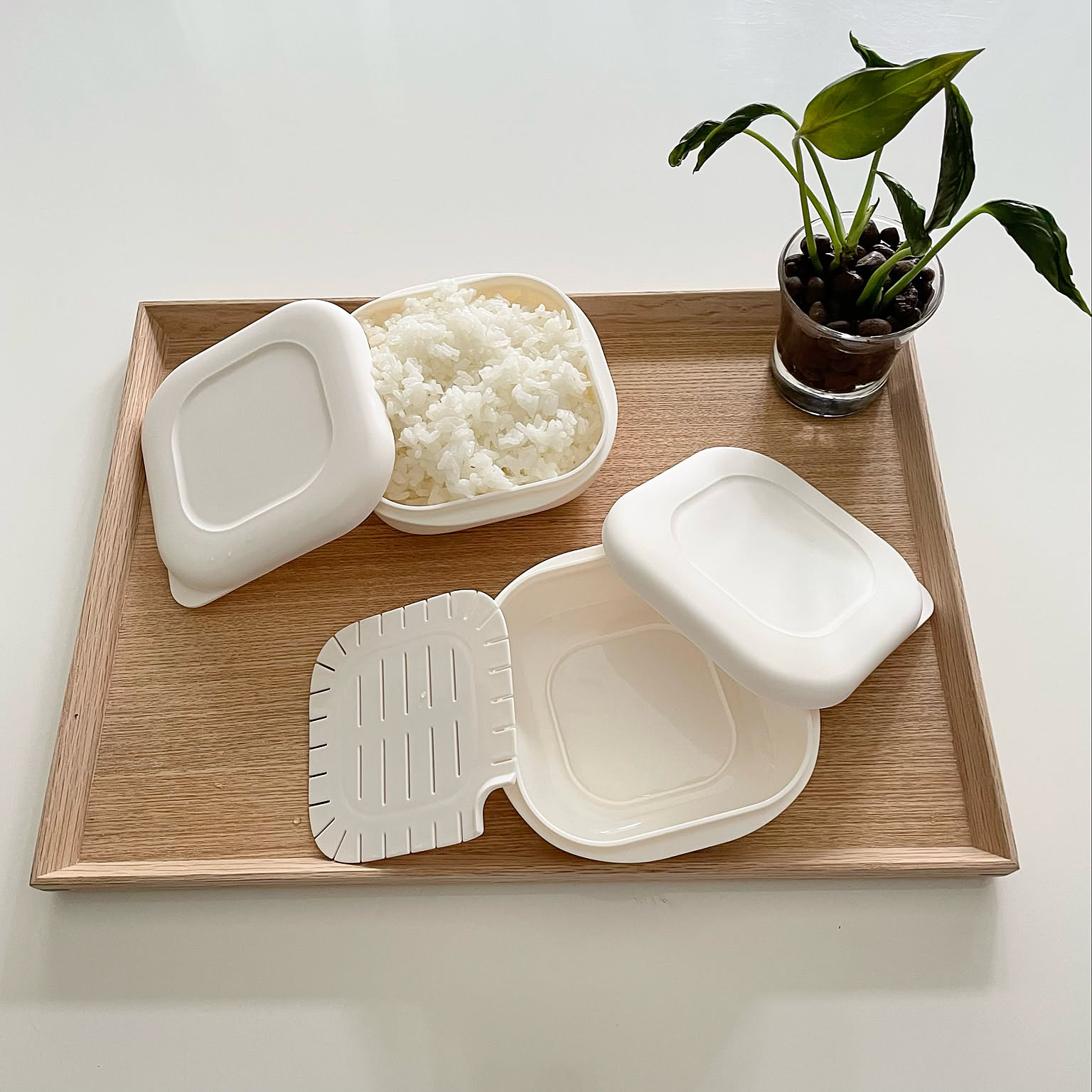 食欲そそる炊きたてごはんを再現☆マーナ「極 冷凍ごはん容器」の魅力