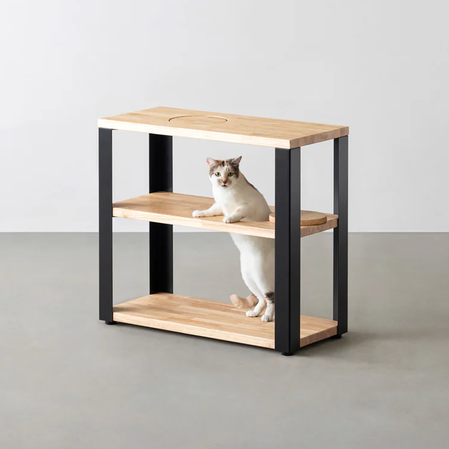THE STORAGE SHELF