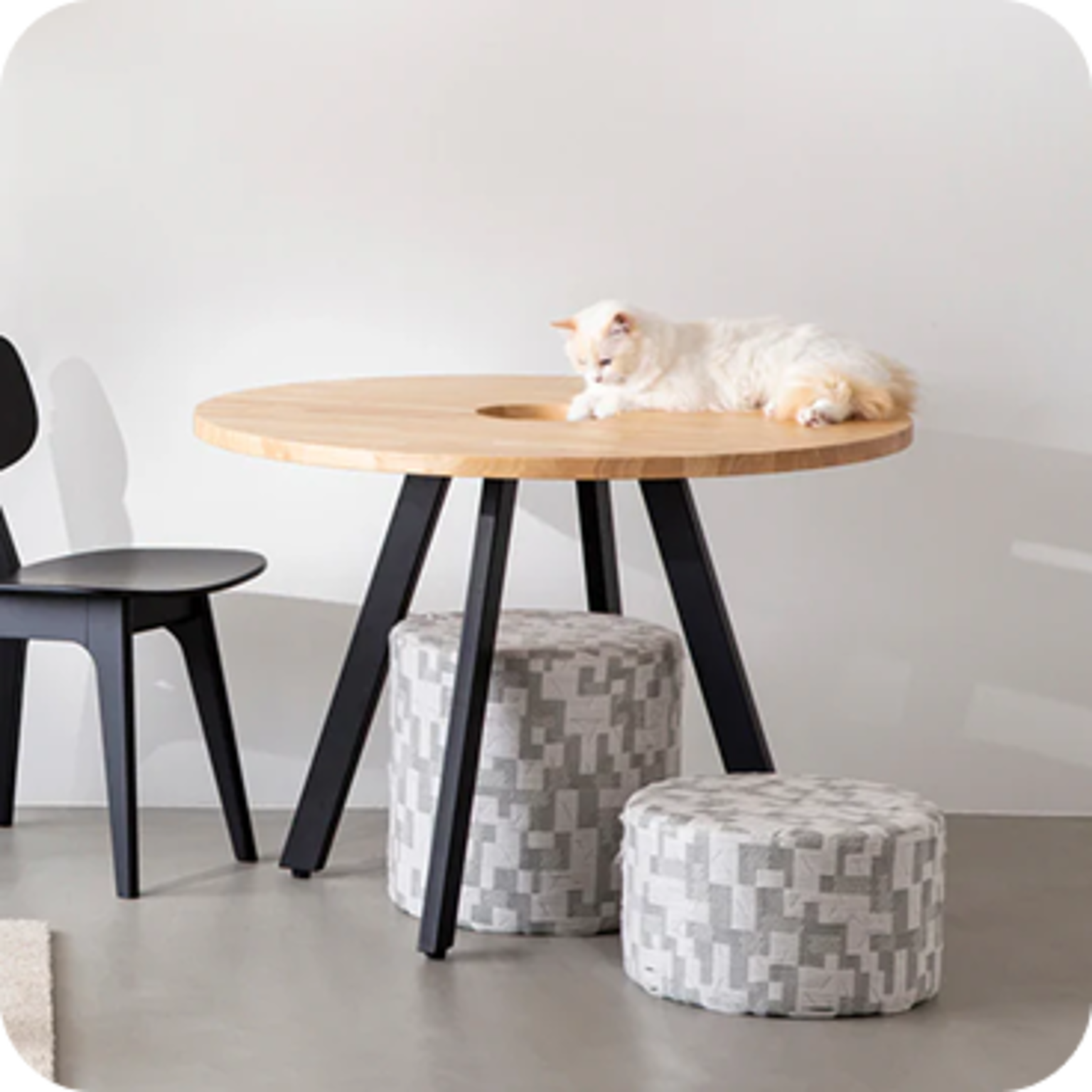 鉢カバー/ネコ穴付き テーブル