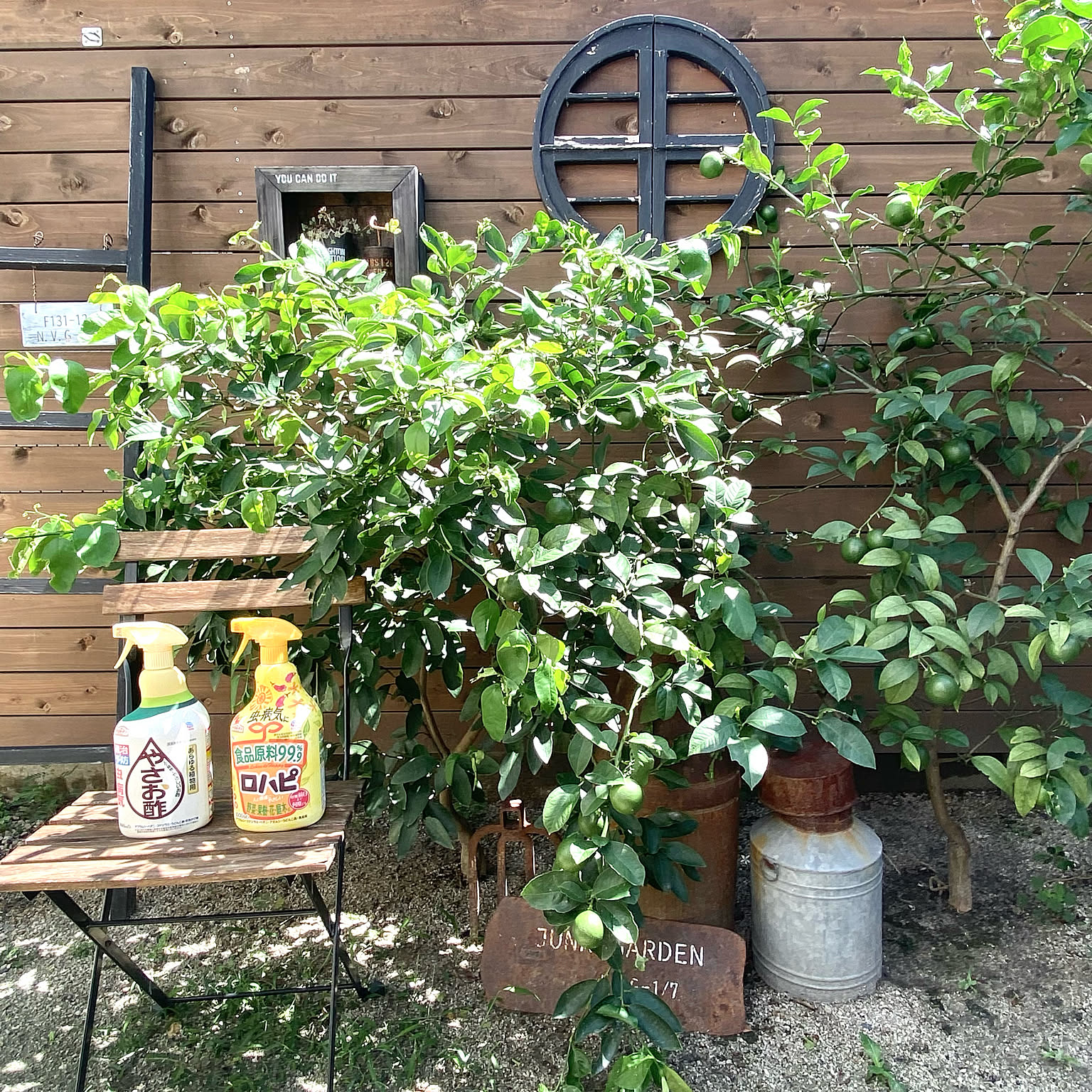 予防 退治 のダブル対策がオススメ ガーデニングや家庭菜園をもっと快適にするアイデアとは Roomclip Mag 暮らしとインテリアのwebマガジン