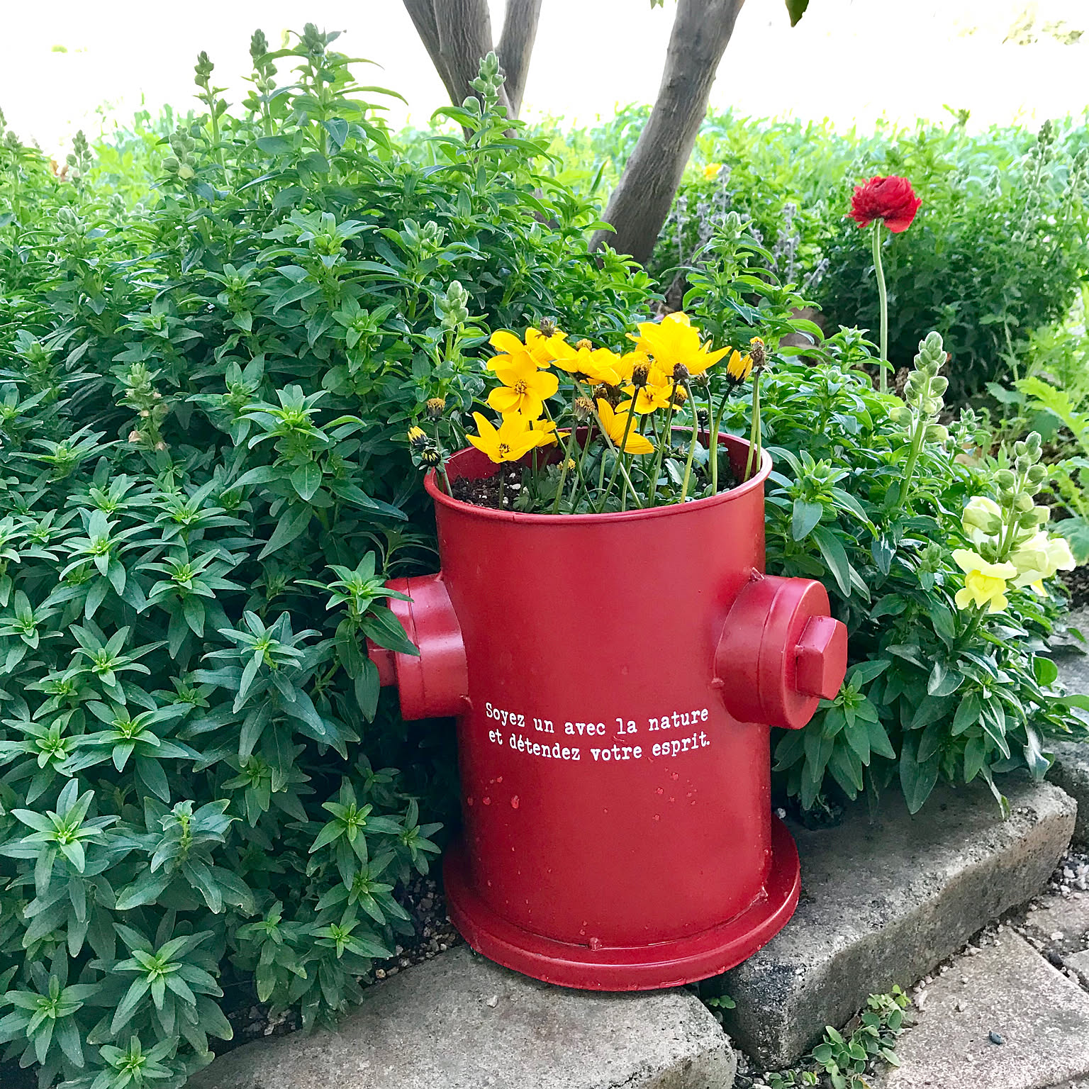 本店 のぼり旗 おしゃれ 花 お花 園芸 ガーデニング ガーデン お庭 のぼり かっこいい センスがいい 一枚から購入可能 オリジナルデザイン 