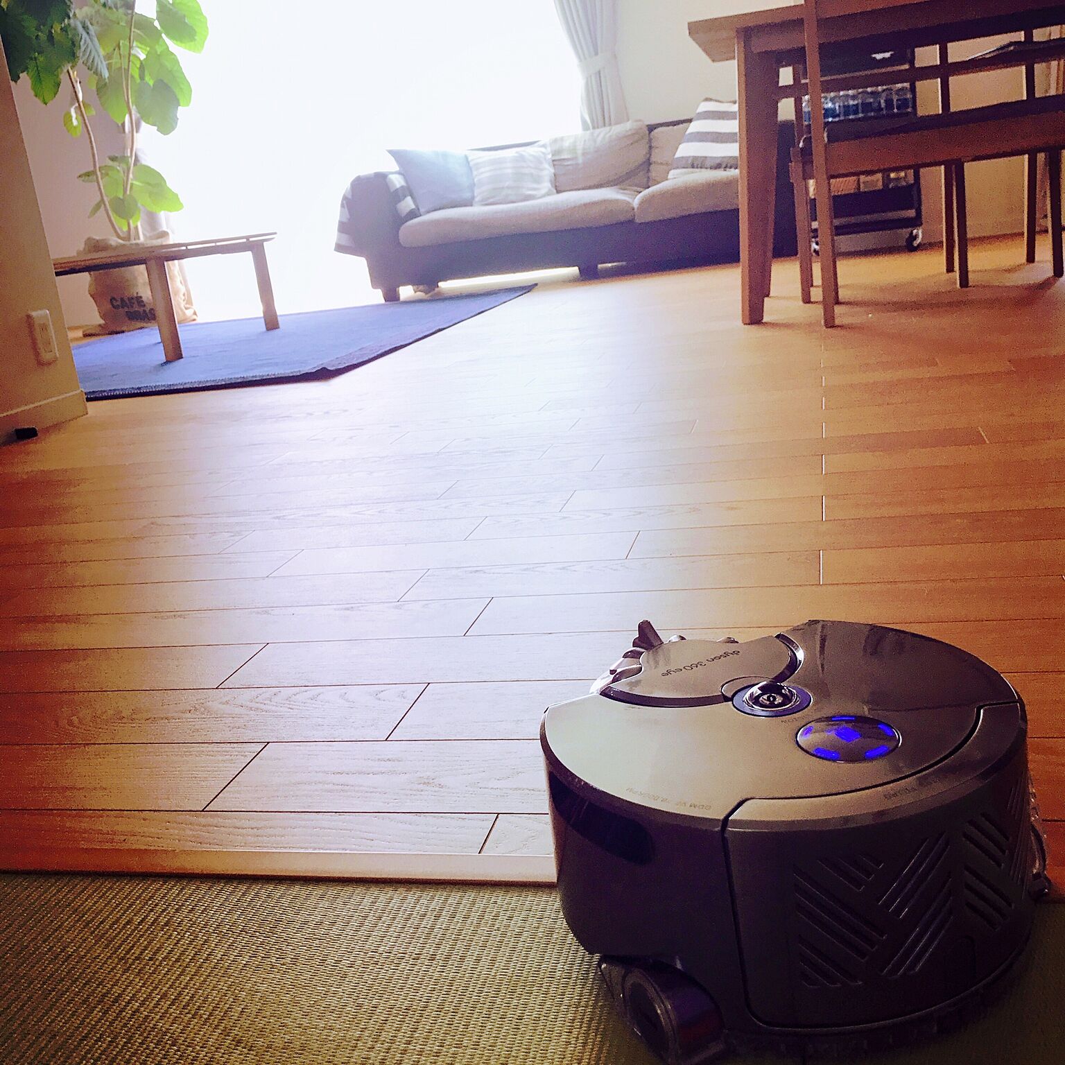 わが家の相棒♡お部屋をきれいに保てるロボット掃除機