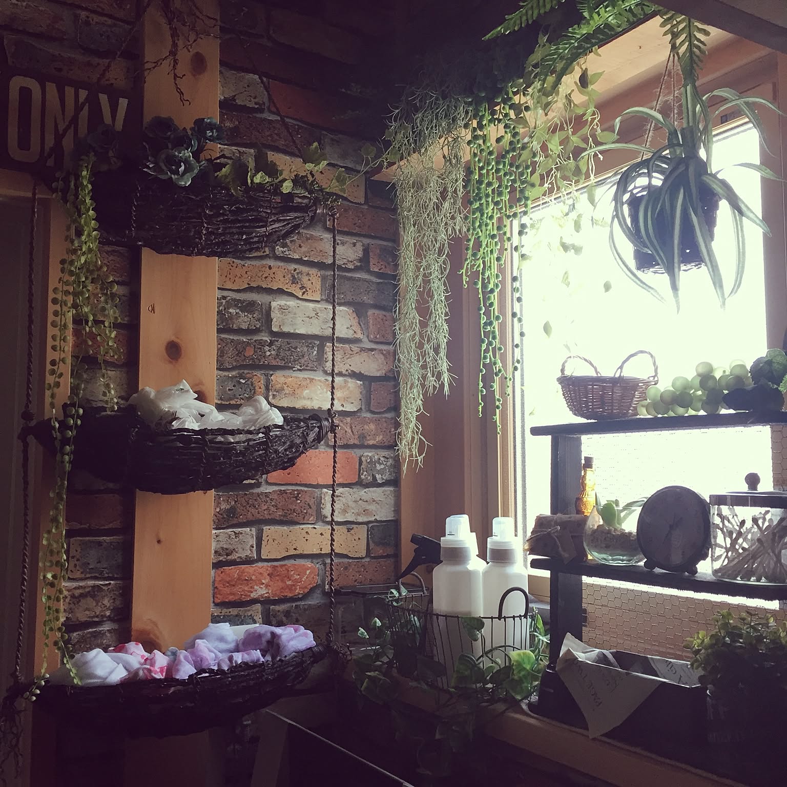 どうしてる 洗濯ネットの収納 Roomclip Mag 暮らしとインテリアのwebマガジン